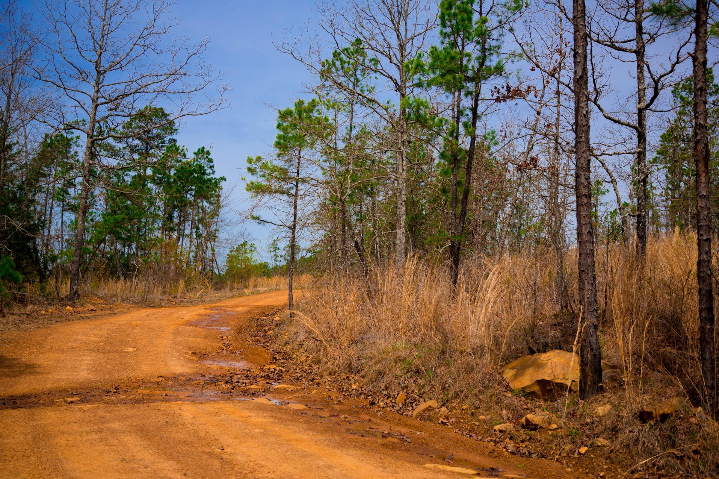 Stone Creek Phase II Tract 204 photo 1