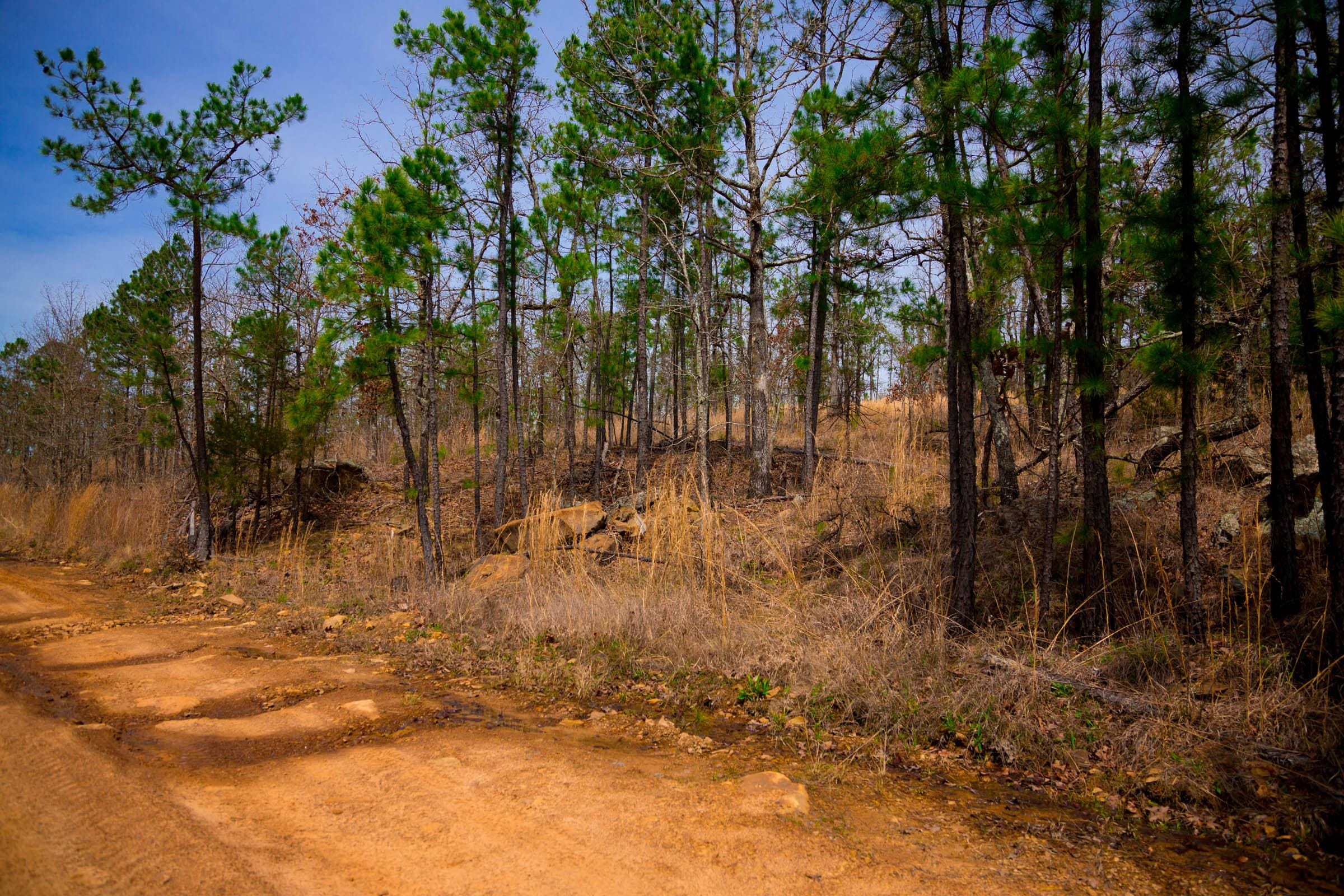 Stone Creek Phase II Tract 204 photo 2