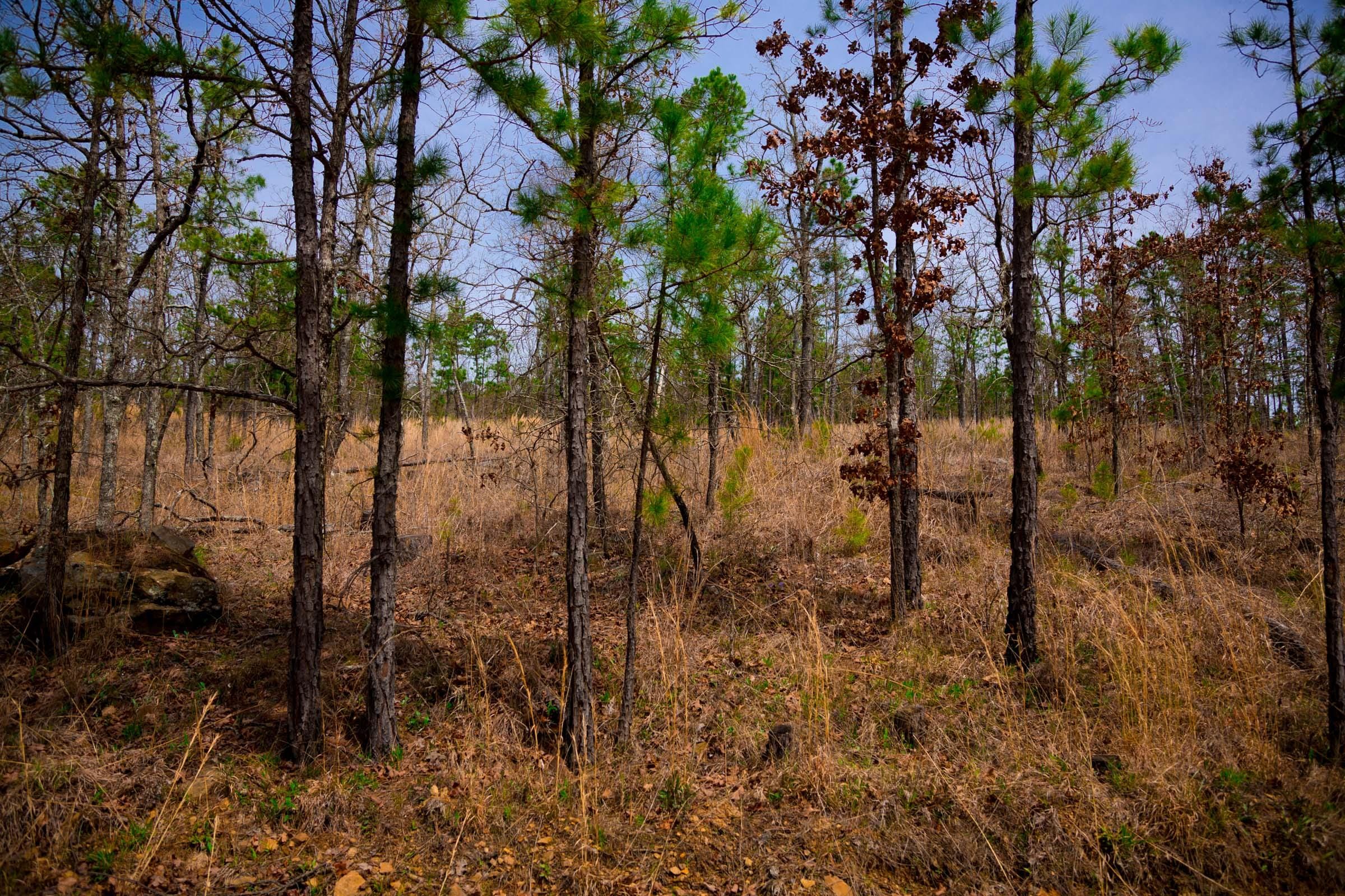 Stone Creek Phase II Tract 204 photo 3