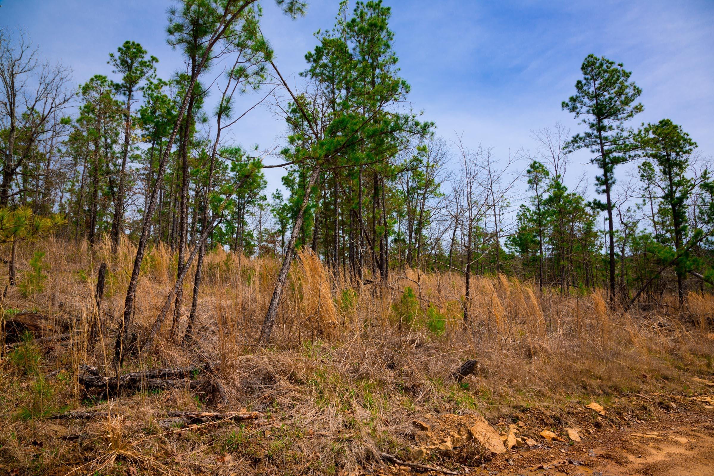 Stone Creek Phase II Tract 204 photo 4