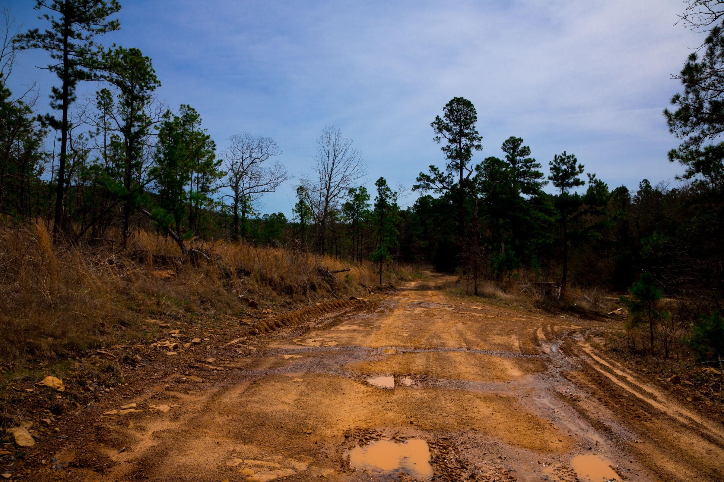 Stone Creek Phase II Tract 204 photo 5