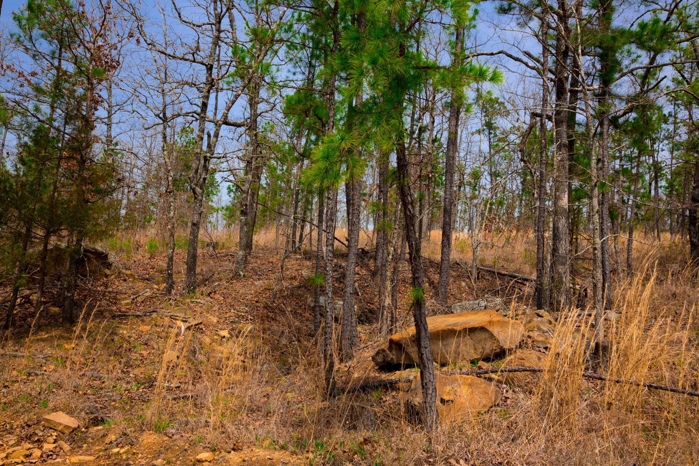 Stone Creek Phase II Tract 204 photo 6