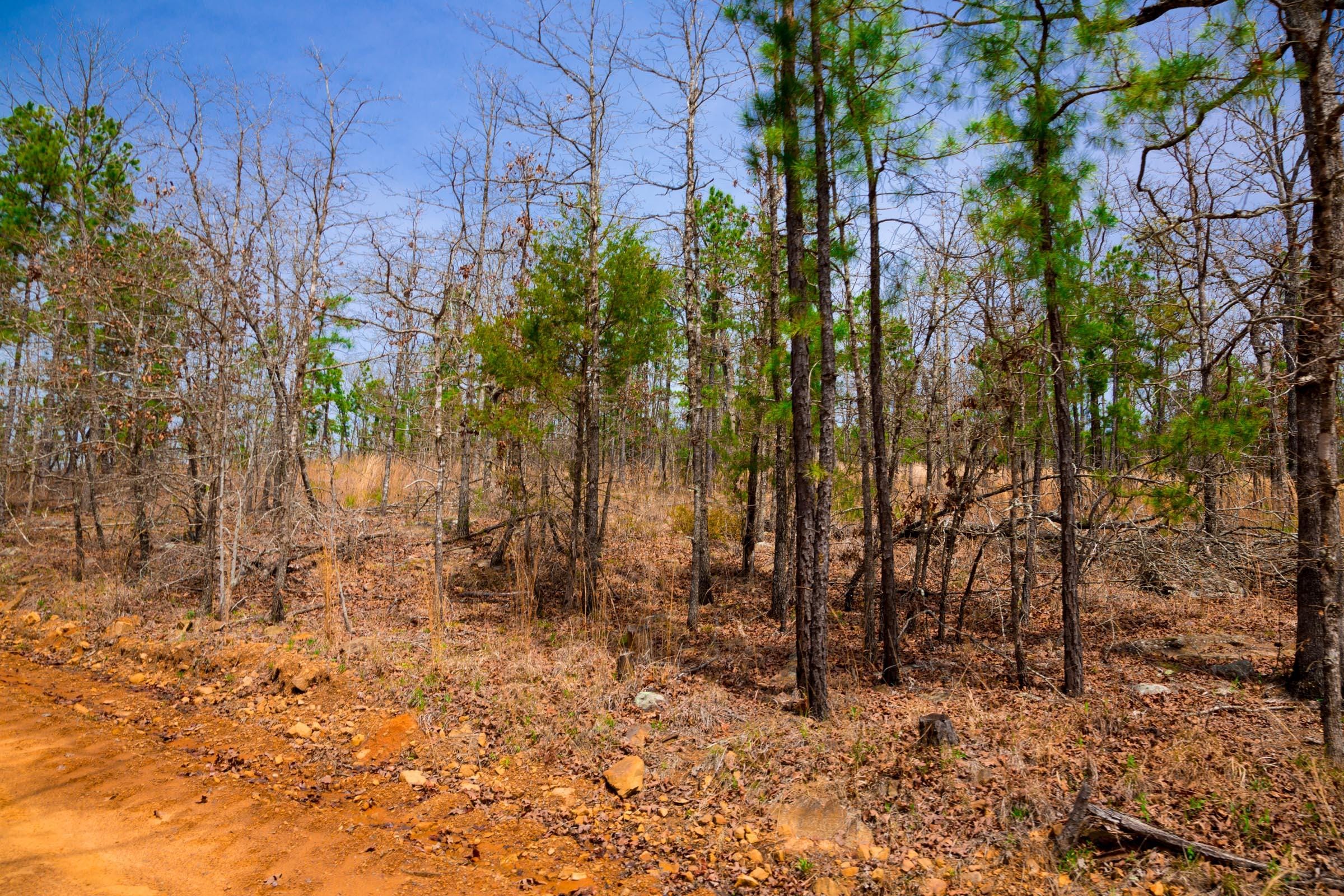 Stone Creek Phase II Tract 204 photo 7