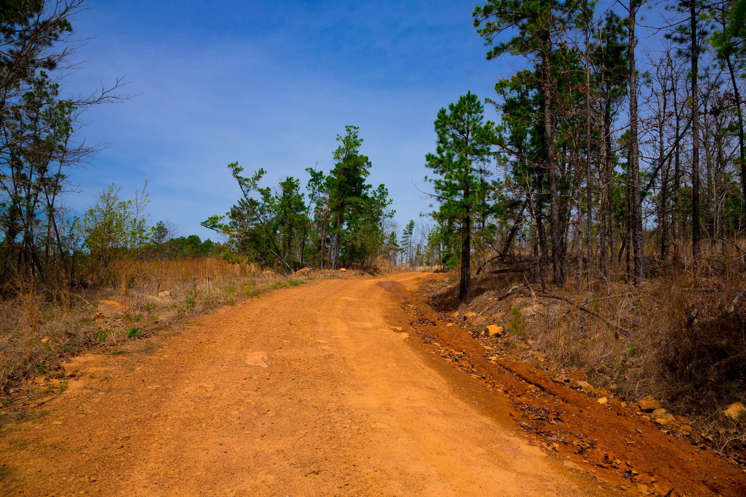 Stone Creek Phase II Tract 204 photo 8