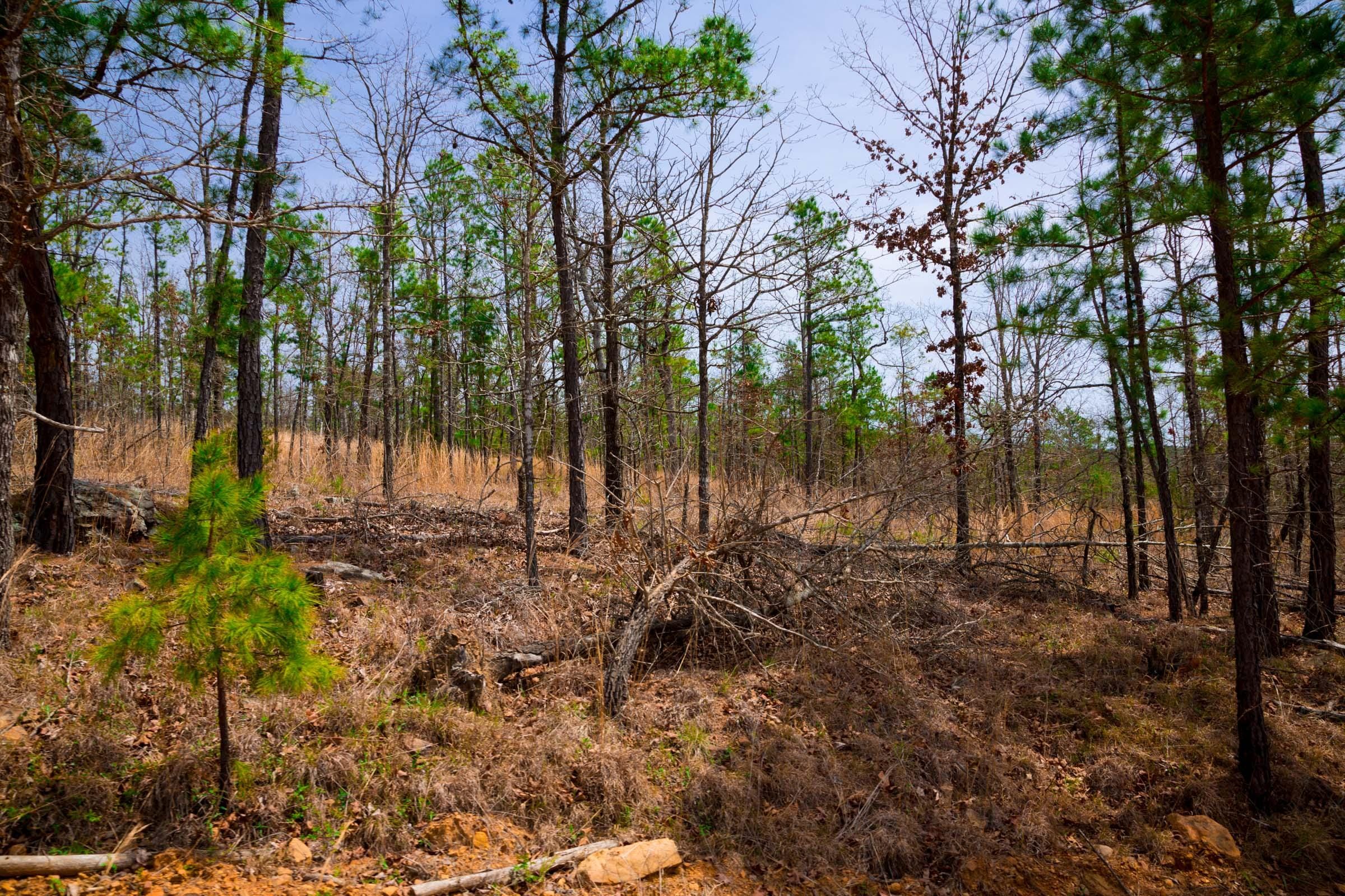 Stone Creek Phase II Tract 204 photo 9