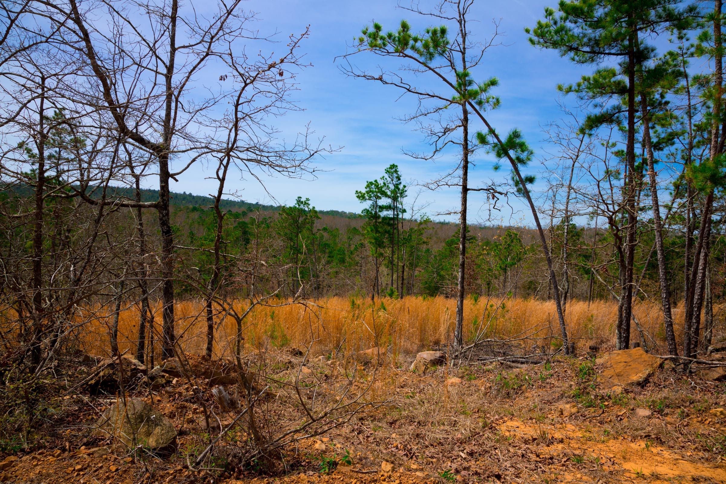 Stone Creek Phase II Tract 204 photo 11