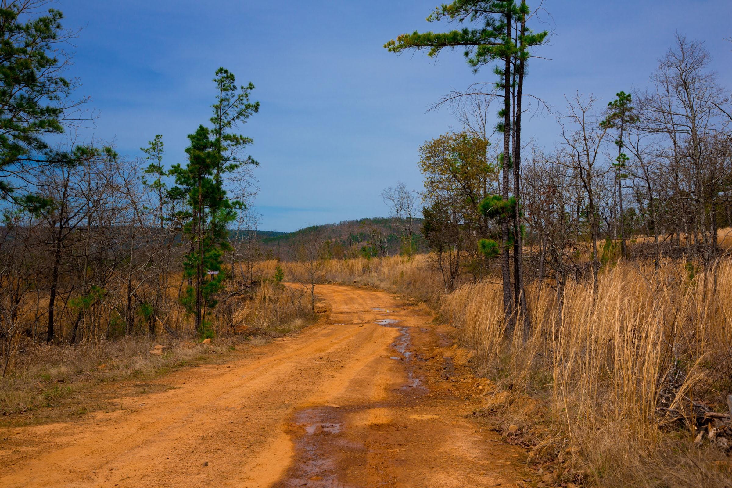 Stone Creek Phase II Tract 204 photo 12
