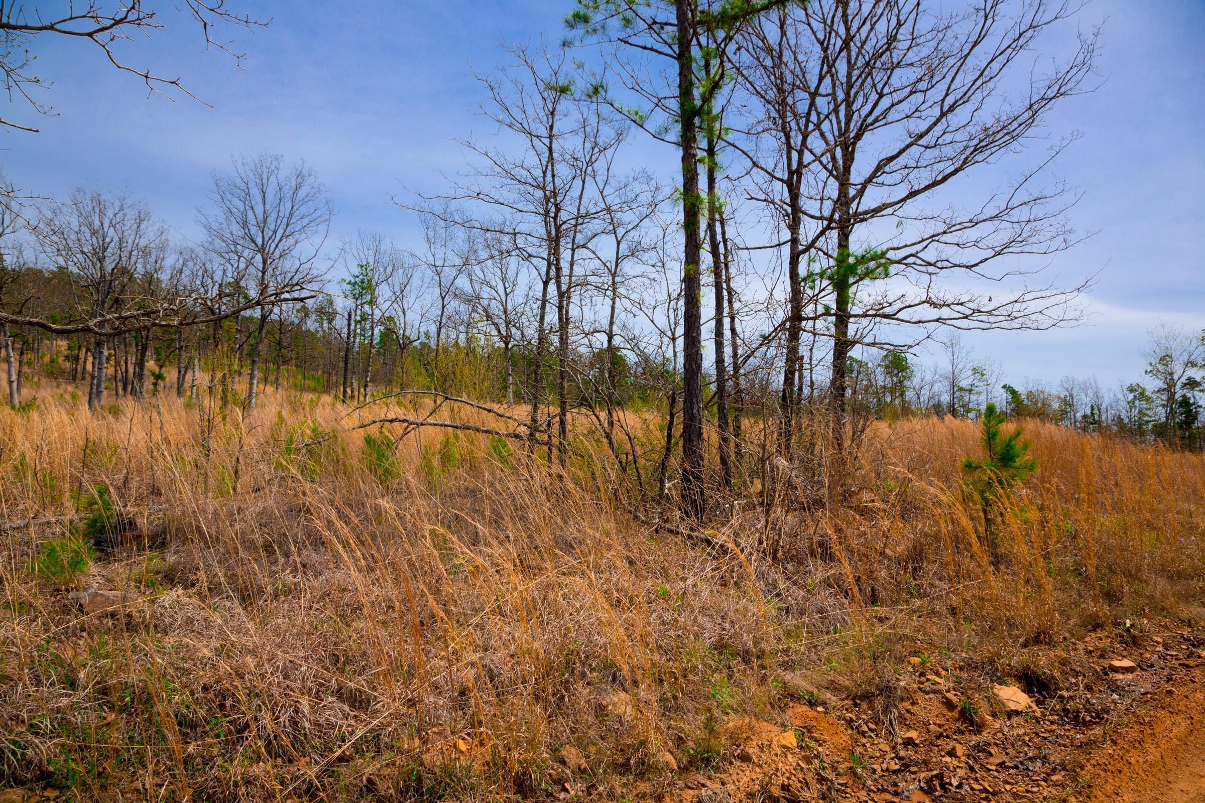 Stone Creek Phase II Tract 204 photo 13