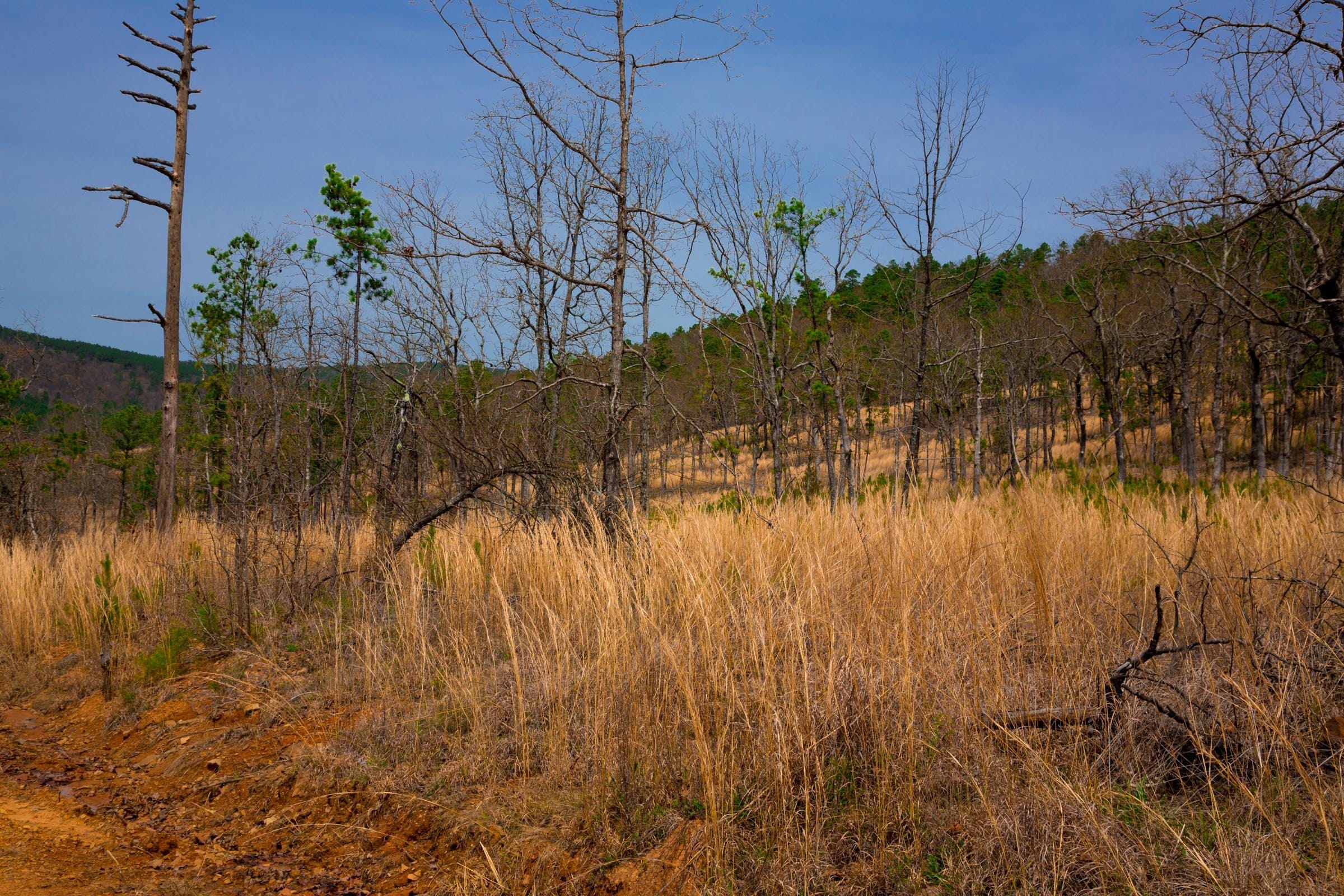 Stone Creek Phase II Tract 204 photo 14