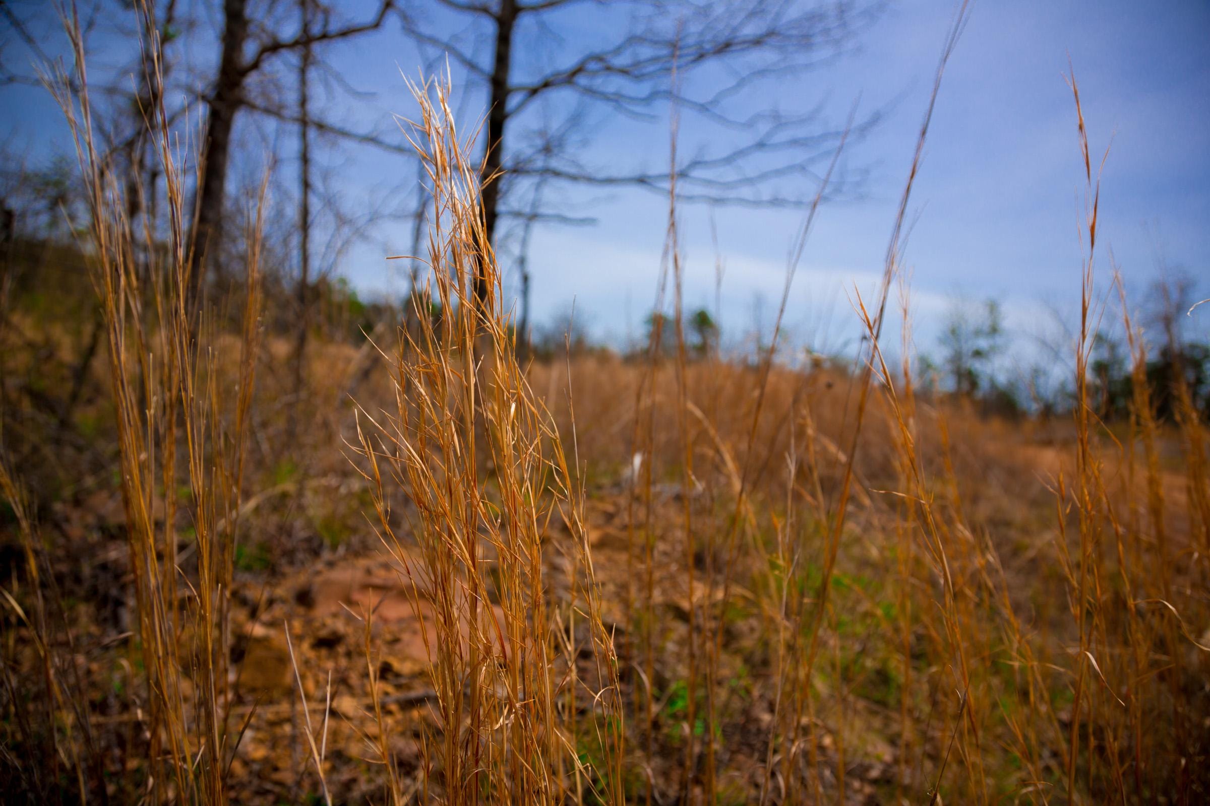 Stone Creek Phase II Tract 204 photo 15