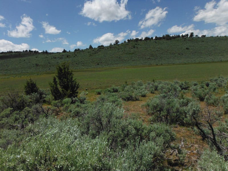 Moon Valley Ranch Tract 31 photo 4