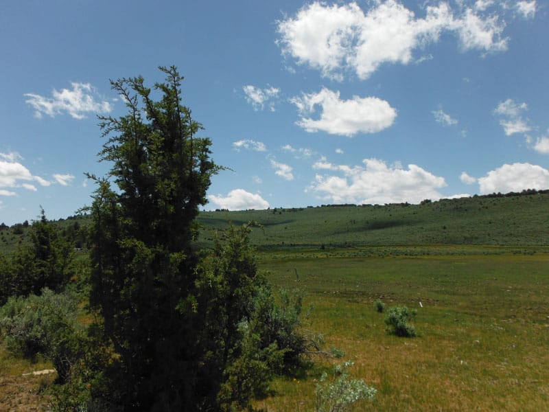 Moon Valley Ranch Tract 31 photo 5