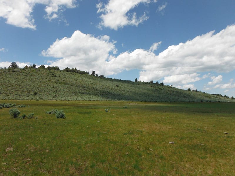 Moon Valley Ranch Tract 31 photo 10