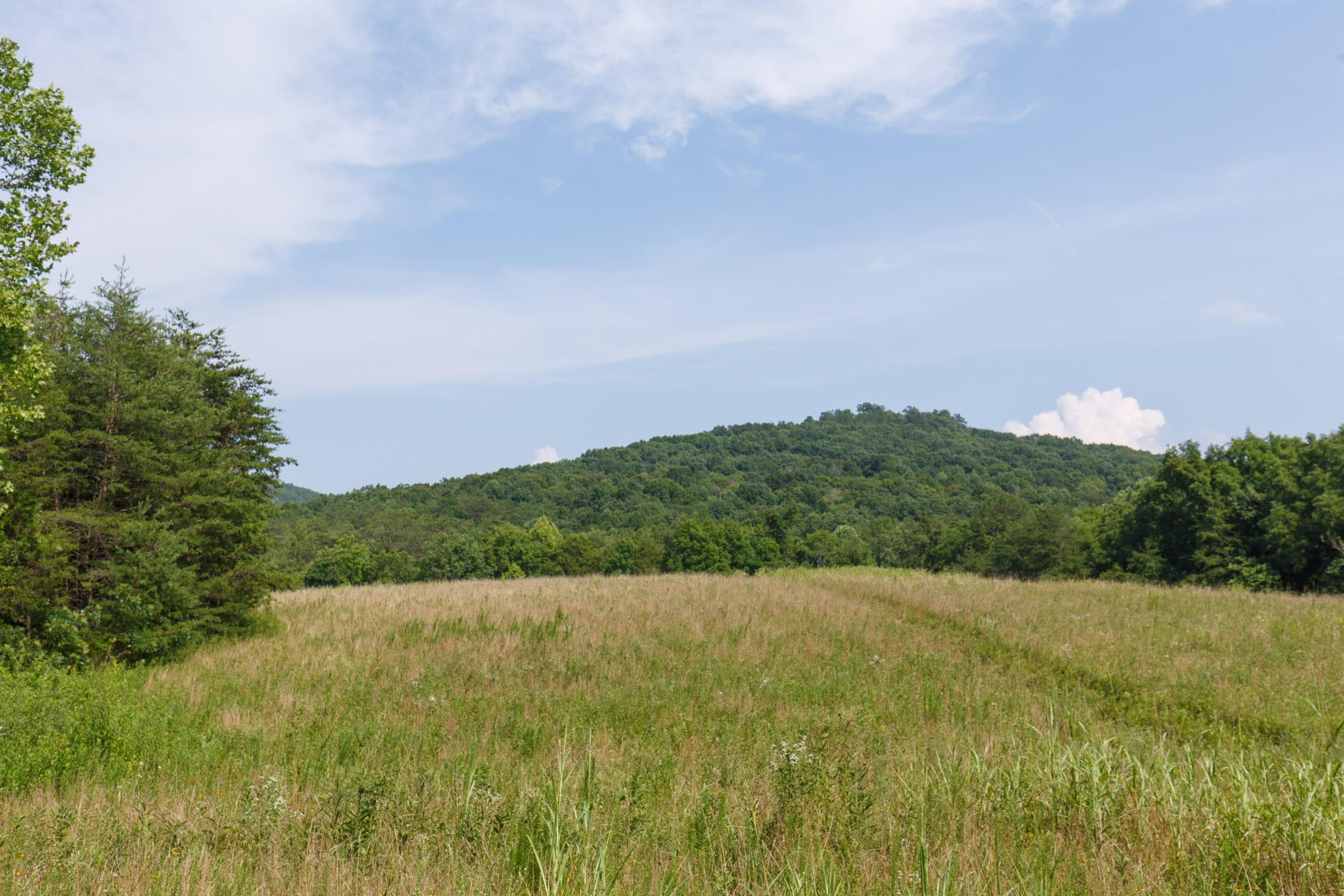 Rolling Hills Tract 31 photo 2