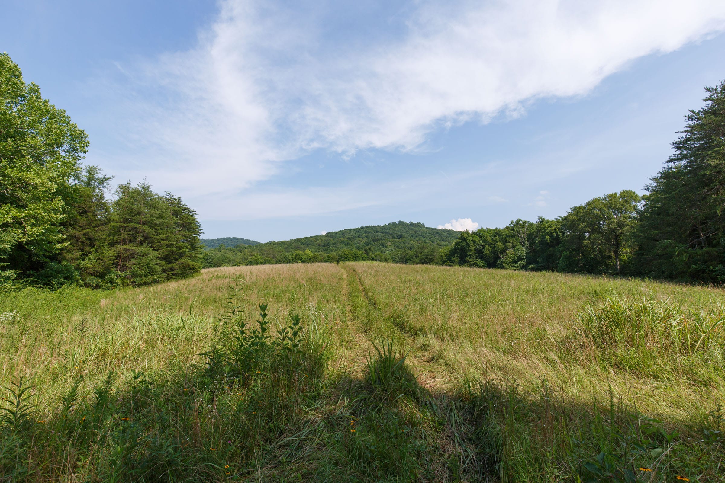 Rolling Hills Tract 31 photo 4