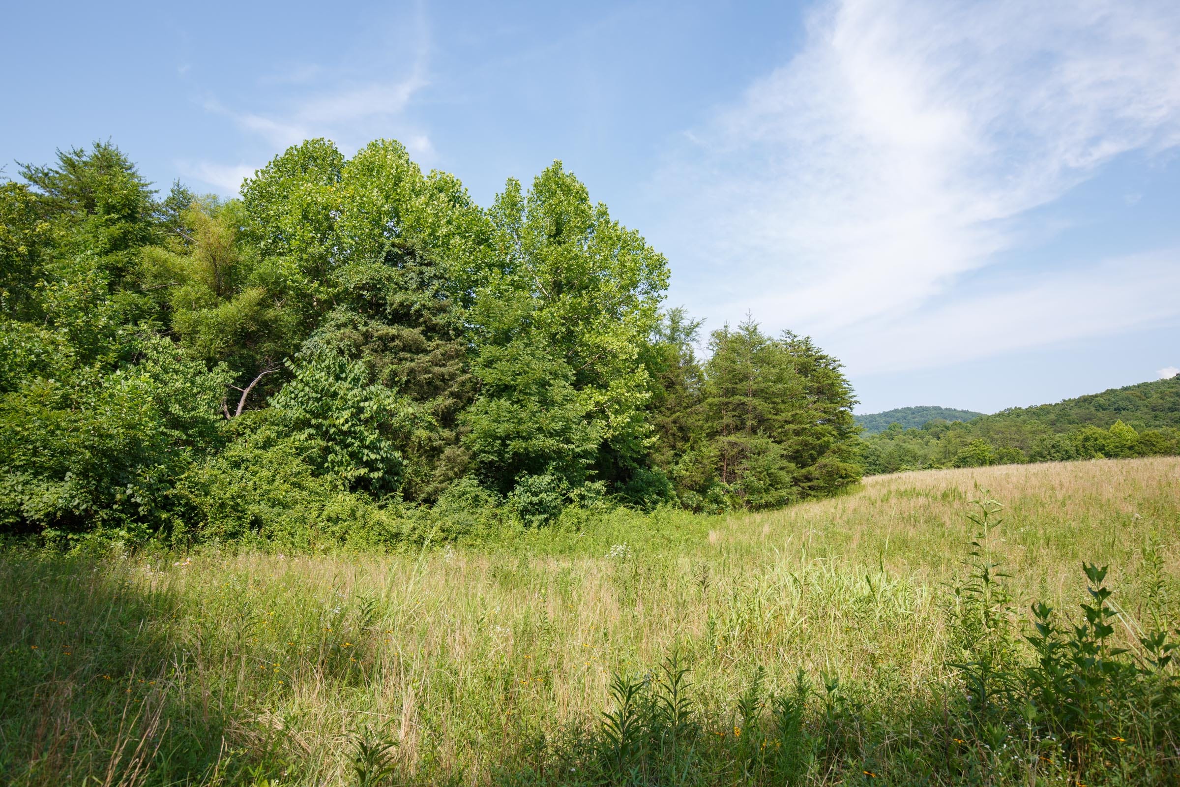 Rolling Hills Tract 31 photo 3