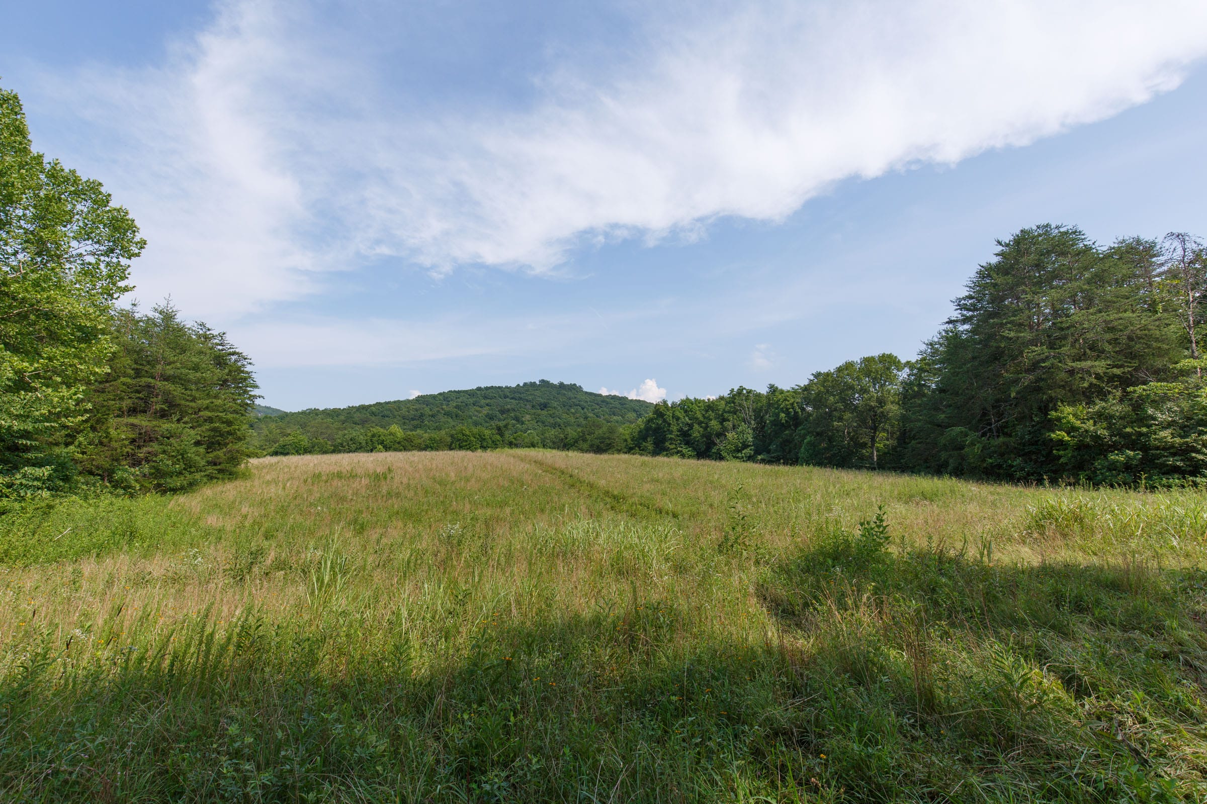 Rolling Hills Tract 31 photo 7