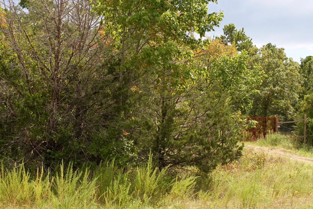 Lakeview Private Reserve Tract 8 photo 4