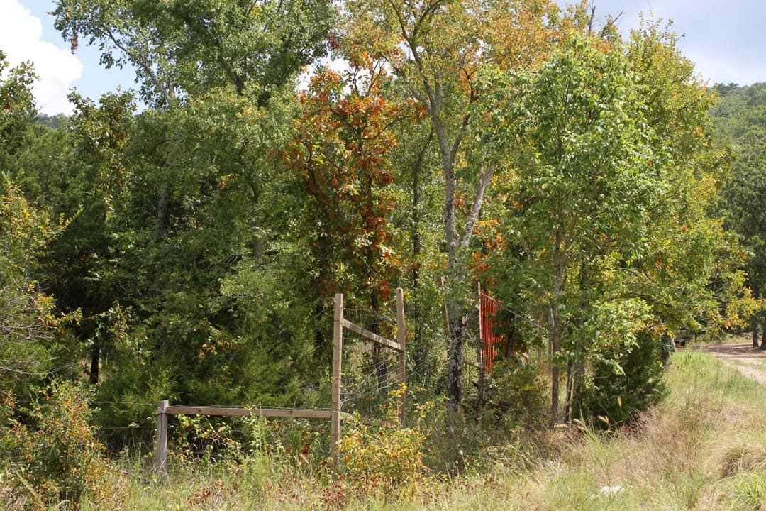Lakeview Private Reserve Tract 8 photo 5