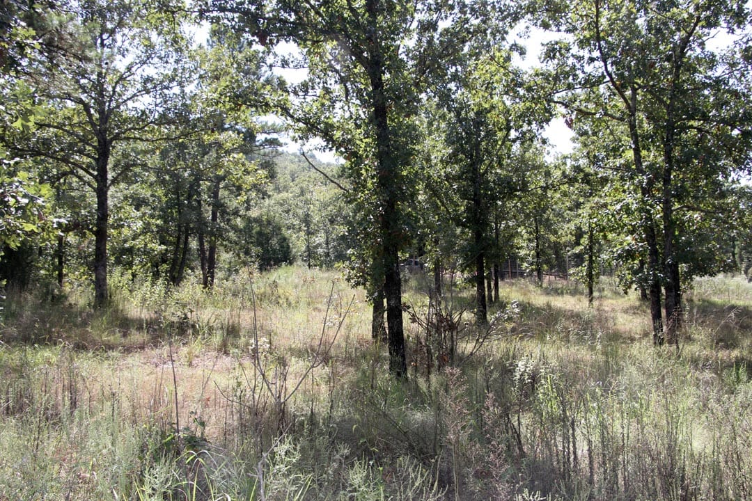 Lakeview Private Reserve Tract 8 photo 6