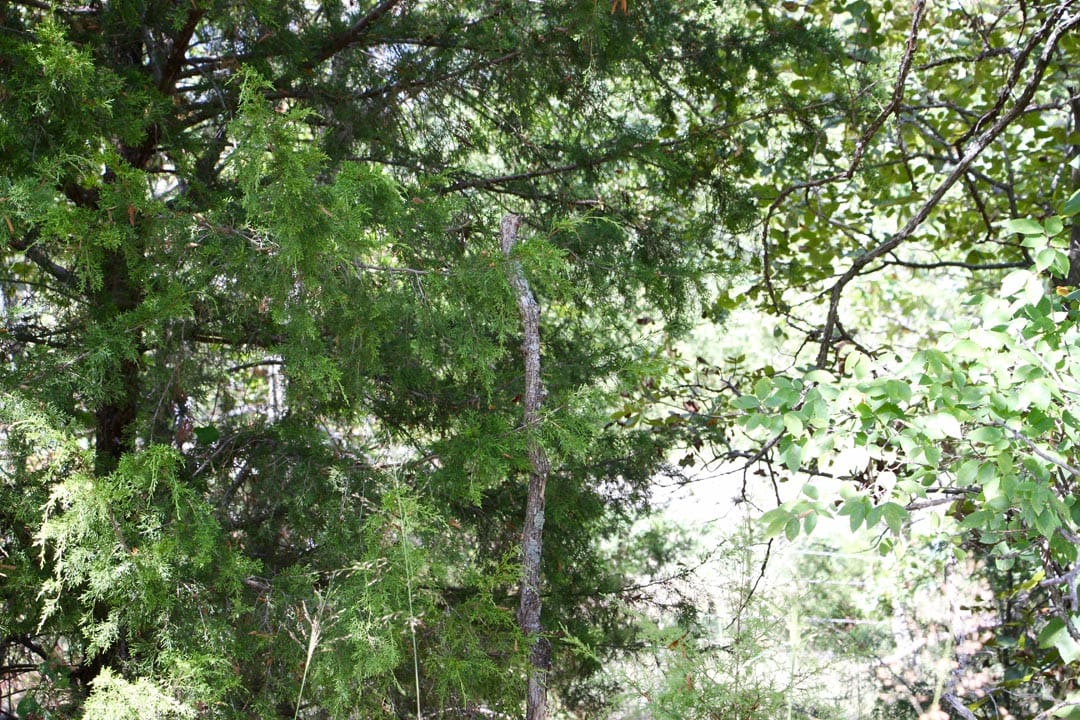 Lakeview Private Reserve Tract 8 photo 8