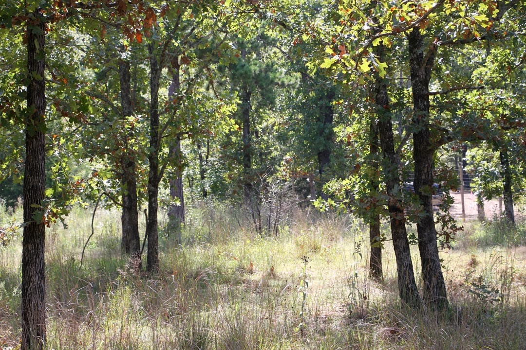 Lakeview Private Reserve Tract 8 photo 10