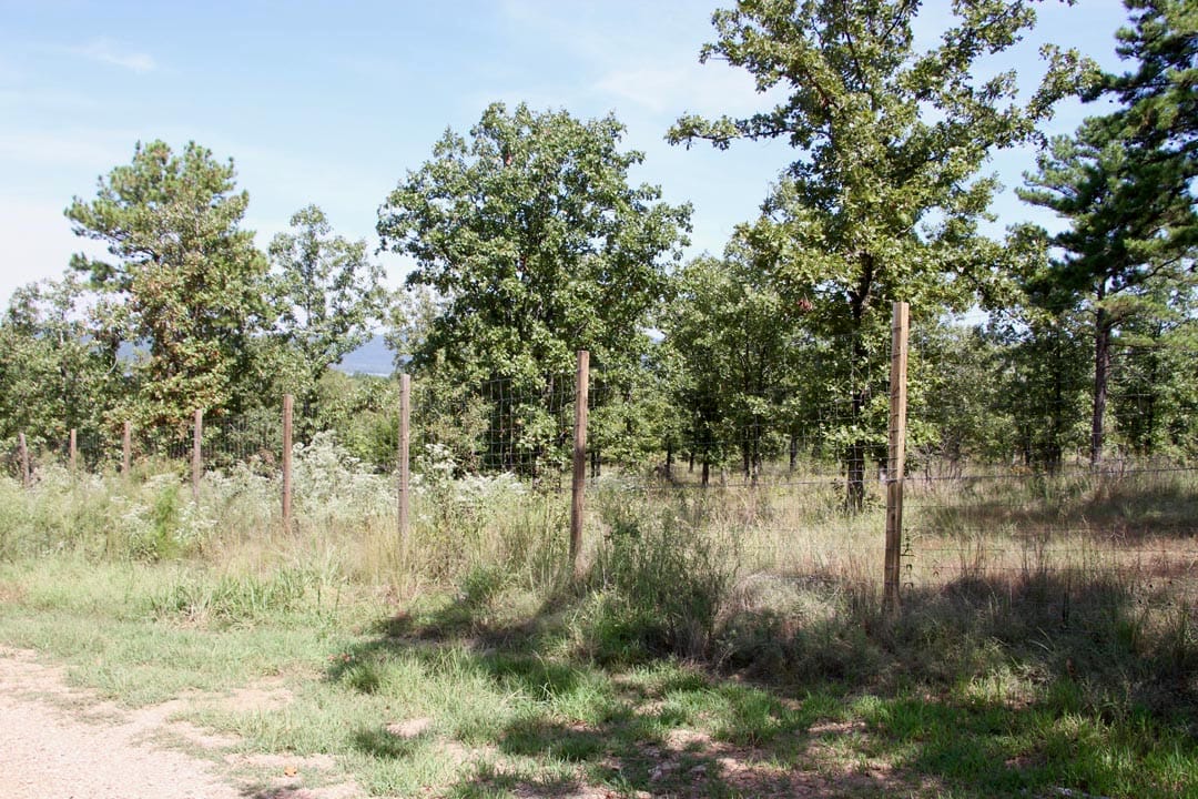 Lakeview Private Reserve Tract 8 photo 13