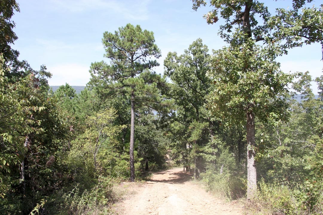 Lakeview Private Reserve Tract 8 photo 15