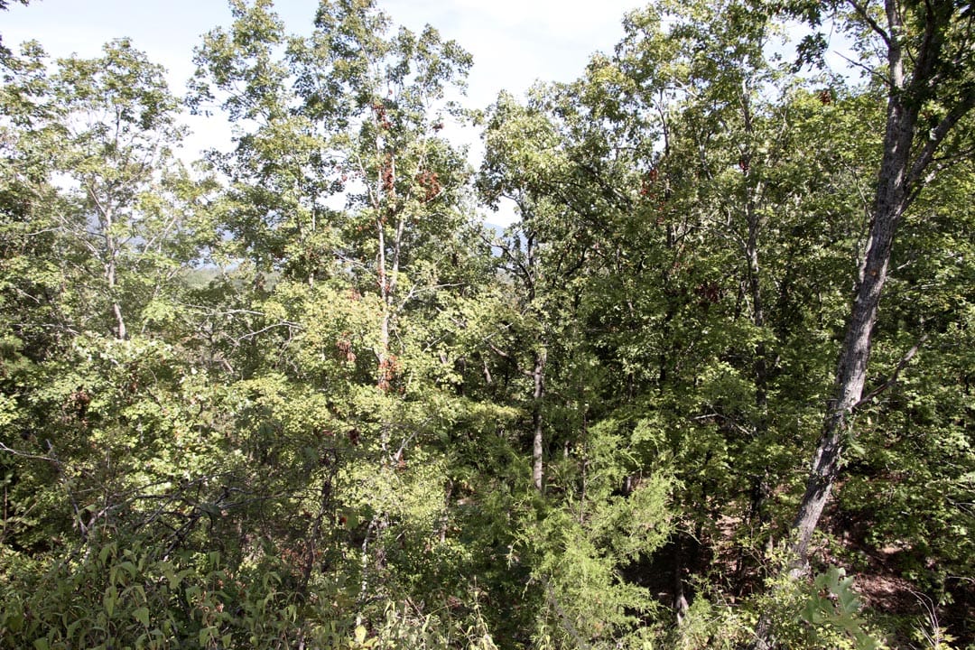 Lakeview Private Reserve Tract 8 photo 16