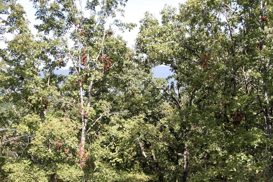 Lakeview Private Reserve Tract 8 photo 17