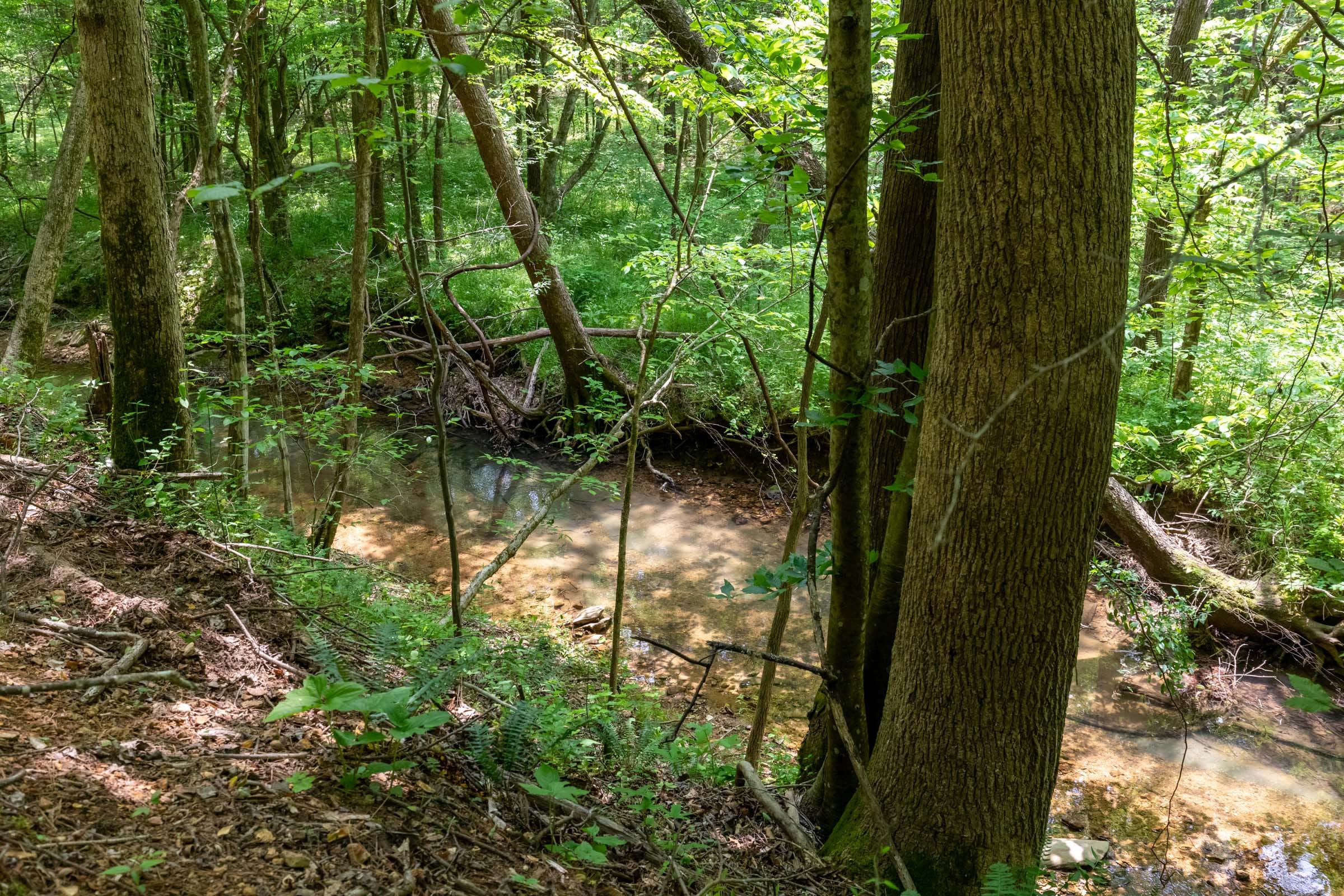 Falcon Crest Tract 21 photo 5