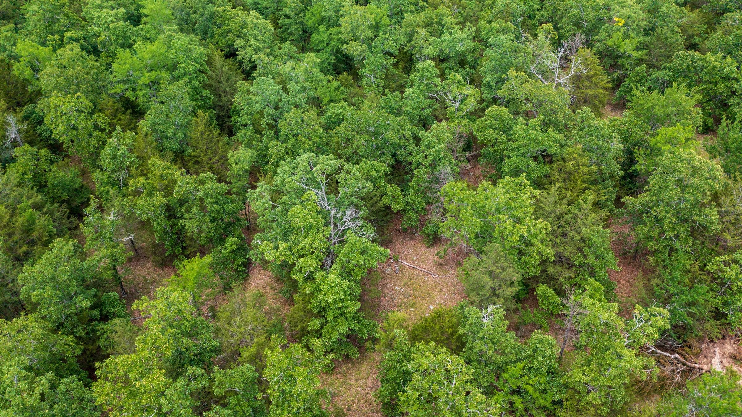 Falcon Crest Tract 21 photo 6