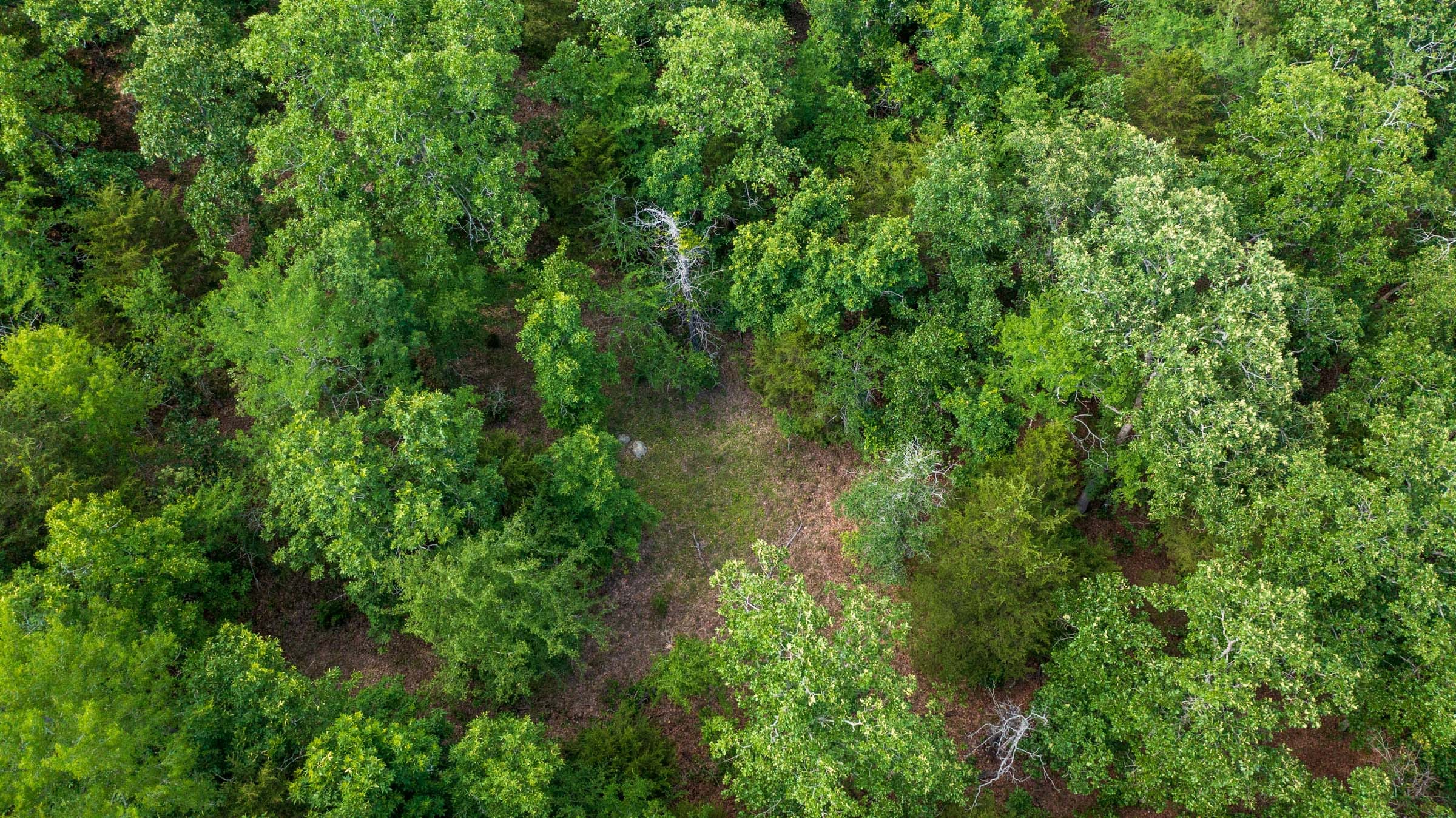 Falcon Crest Tract 21 photo 7