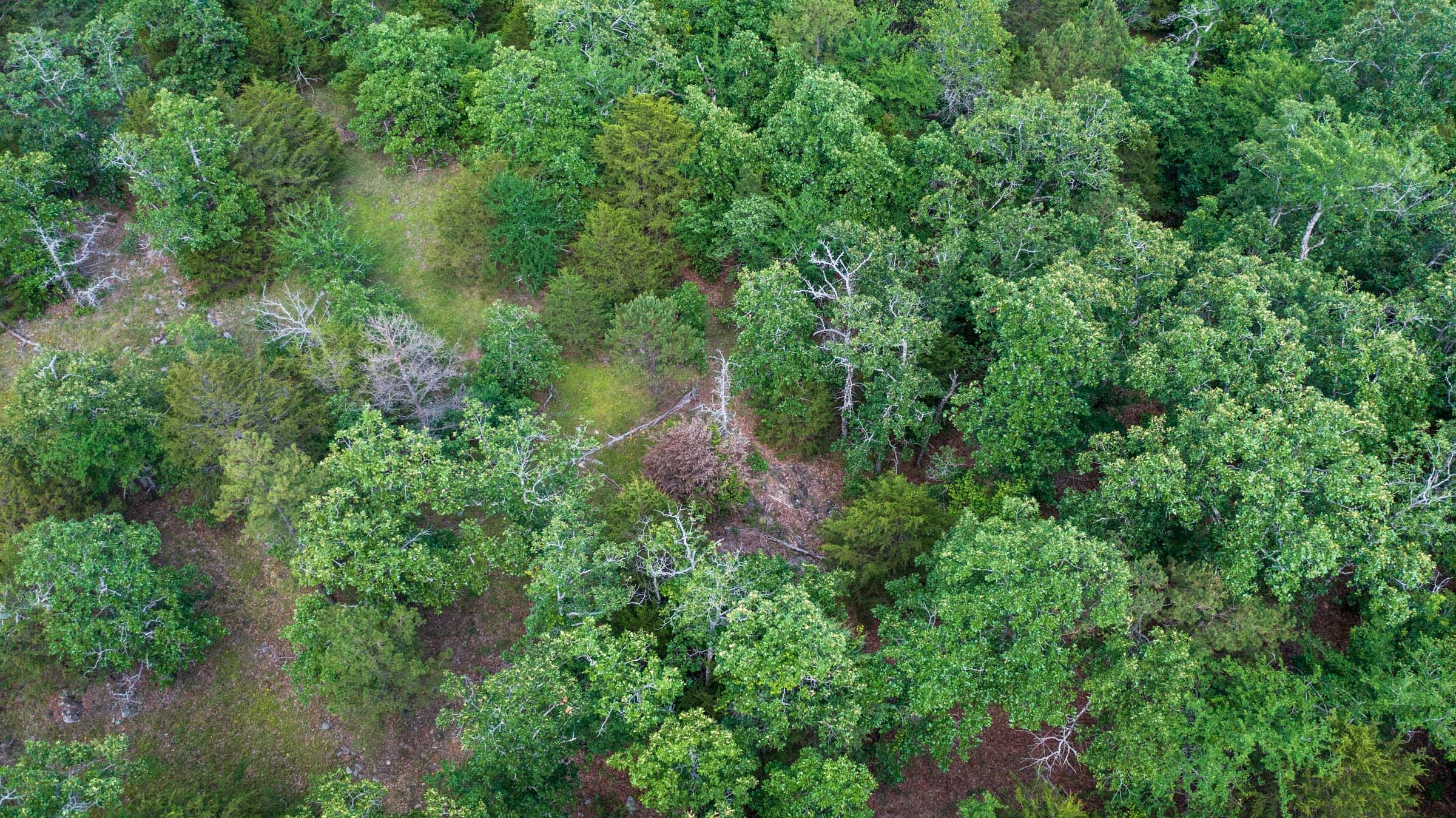 Falcon Crest Tract 21 photo 8