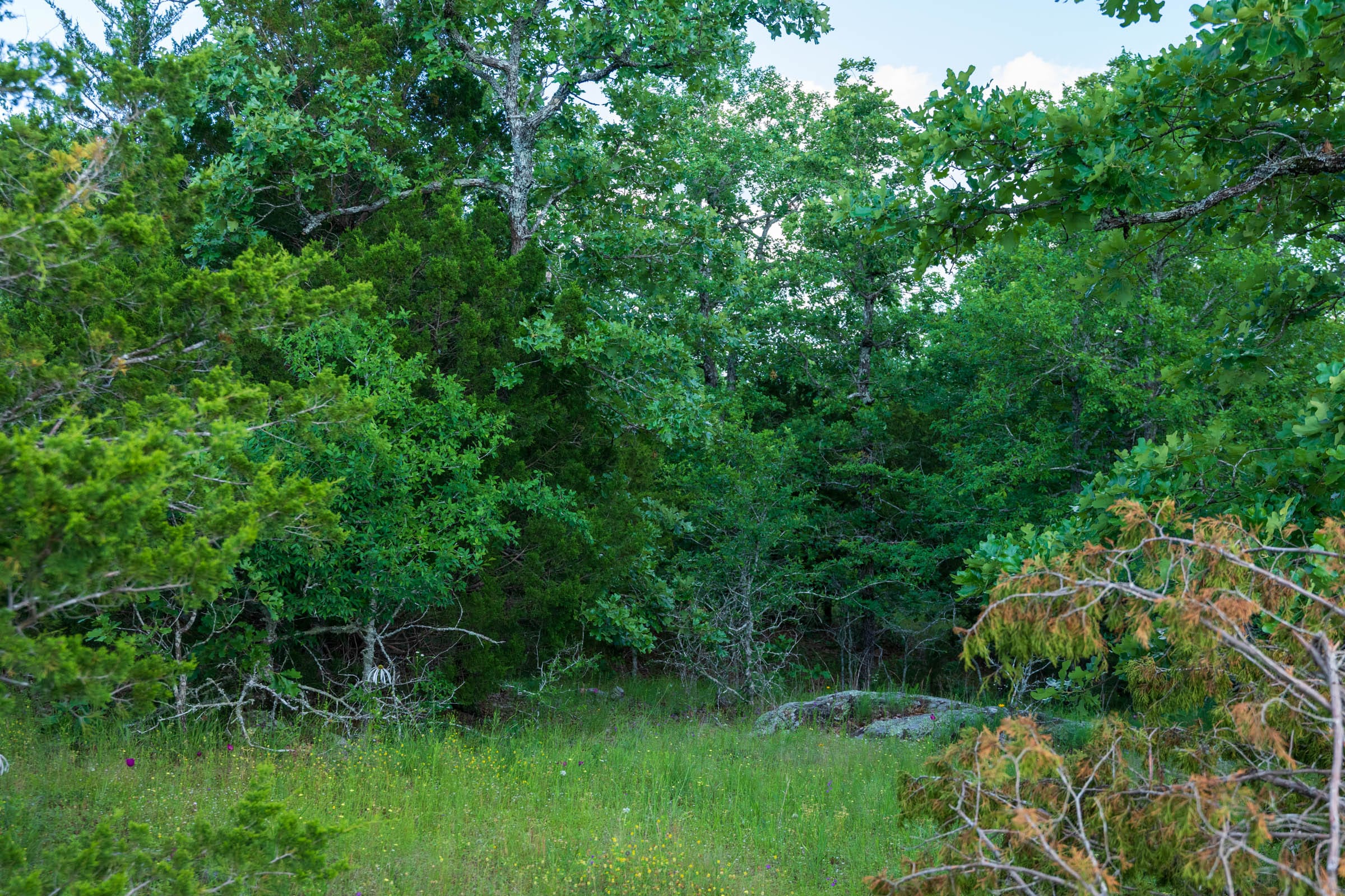 Falcon Crest Tract 21 photo 9