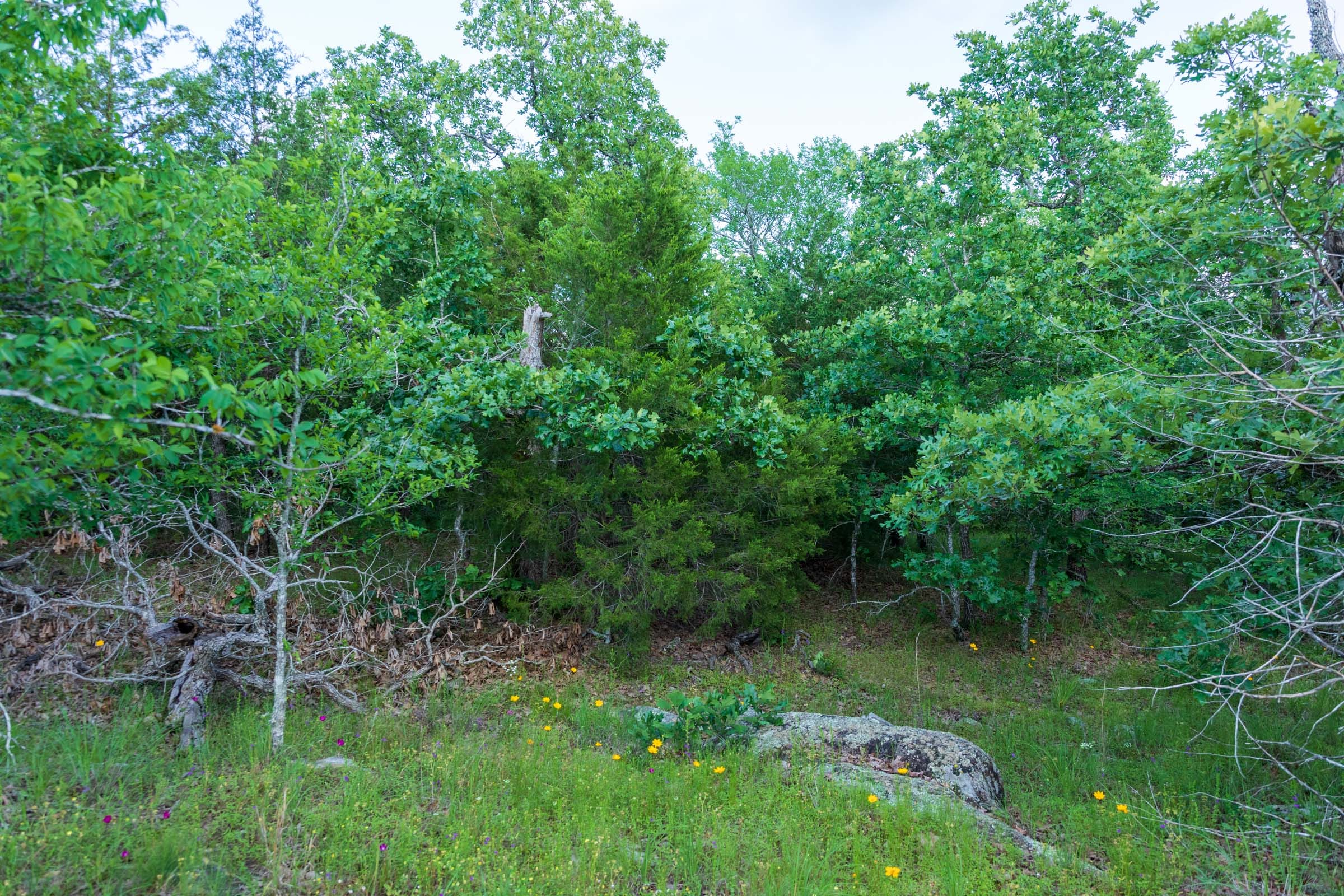 Falcon Crest Tract 21 photo 11