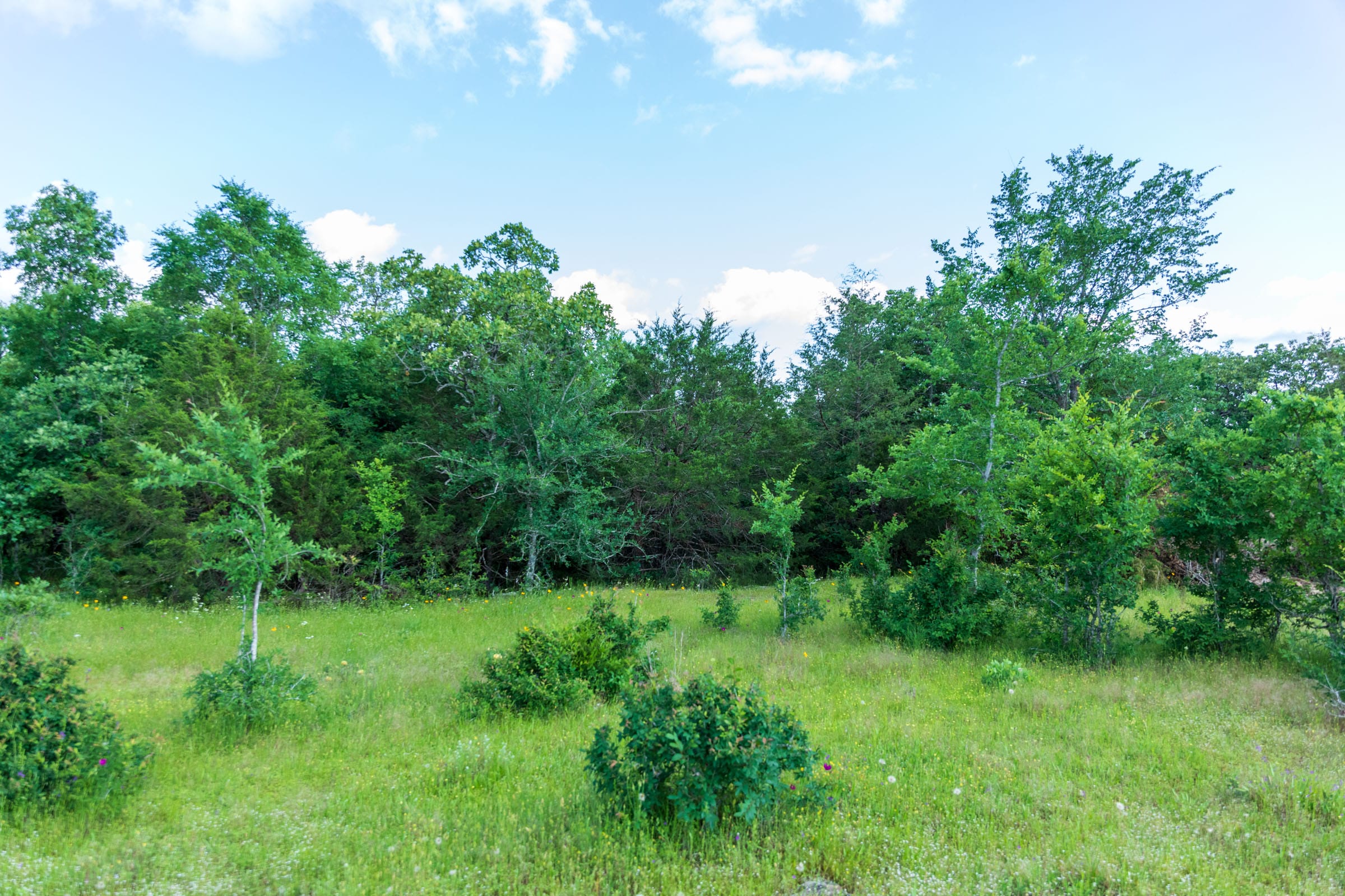 Falcon Crest Tract 21 photo 13