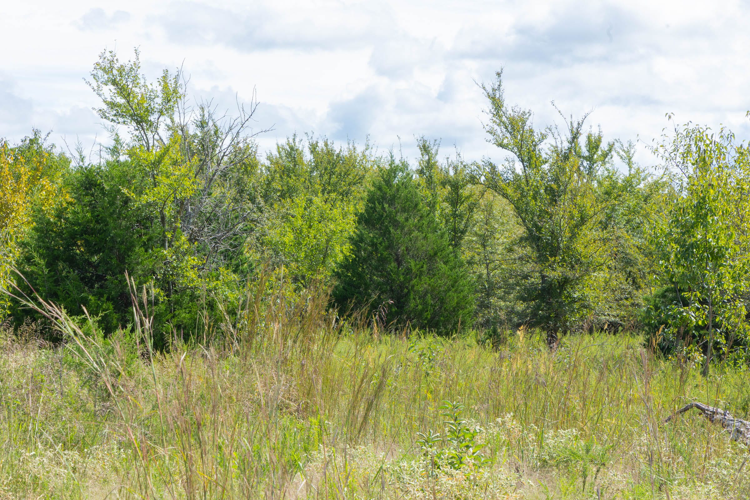 Reserves At Cattail Cove Phase II Tract 41 photo 7