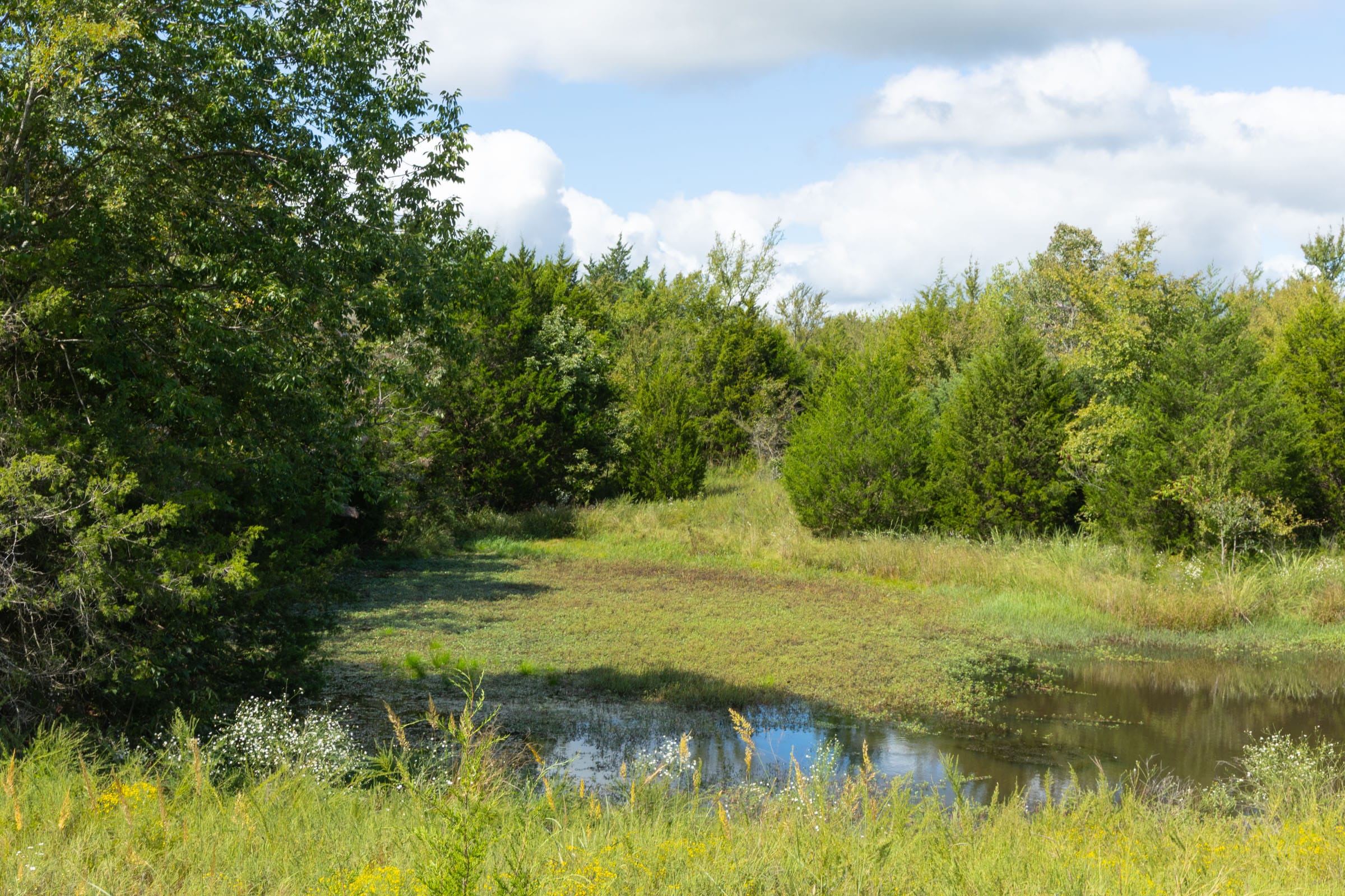 Reserves At Cattail Cove Phase II Tract 41 photo 2