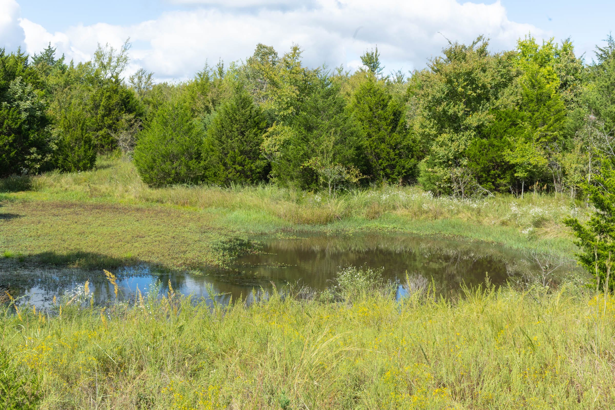 Reserves At Cattail Cove Phase II Tract 41 photo 5
