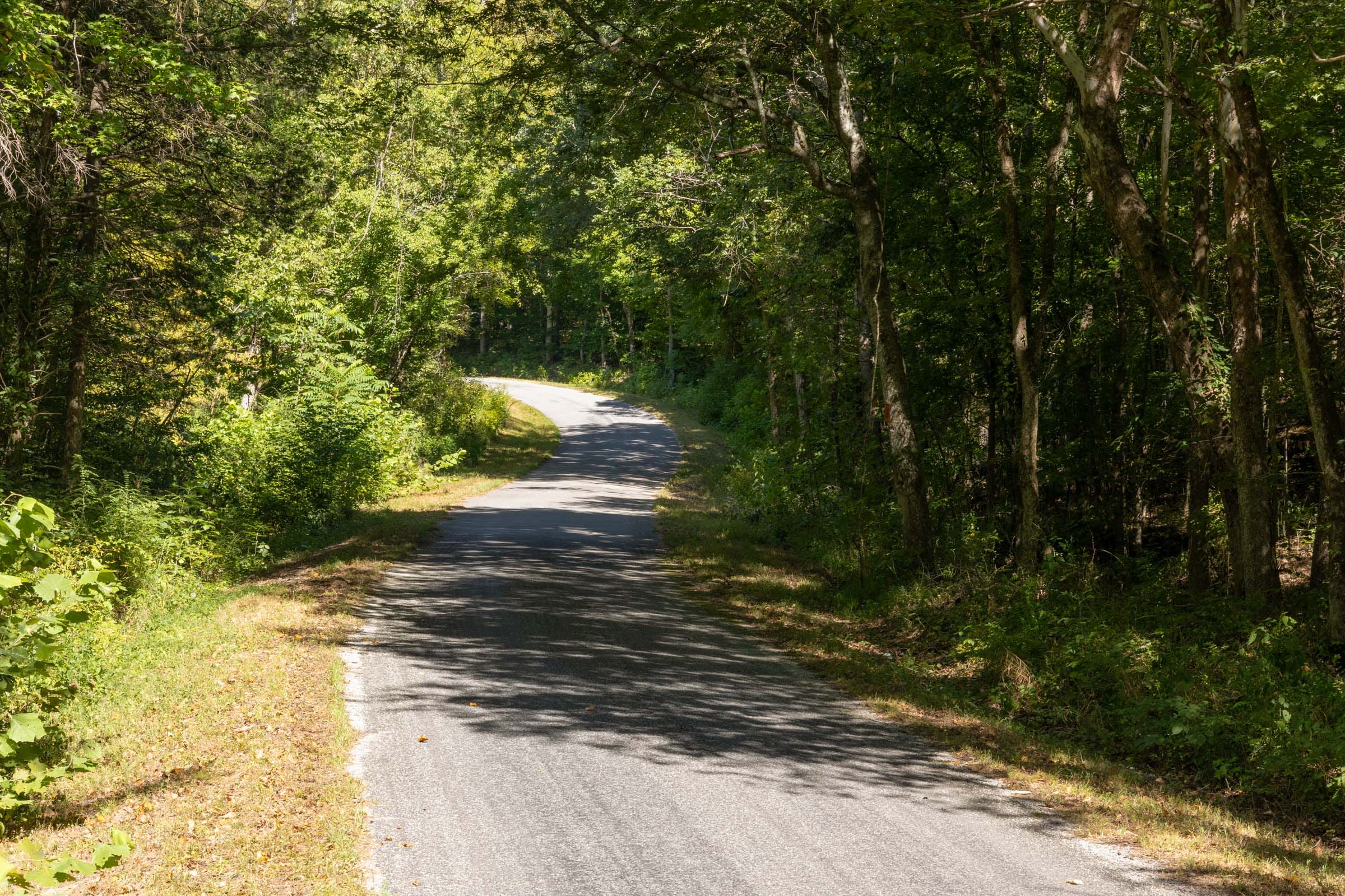 Big White Oak Tract 16 photo 7
