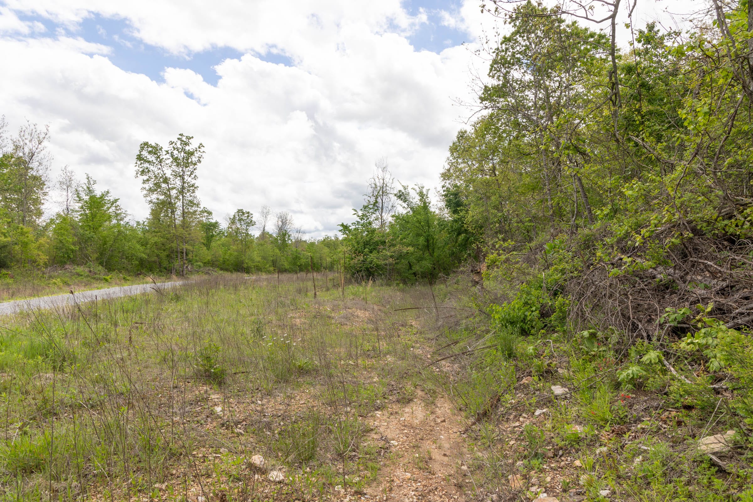 Sleepy Hollow Phase II Tract 95 photo 12