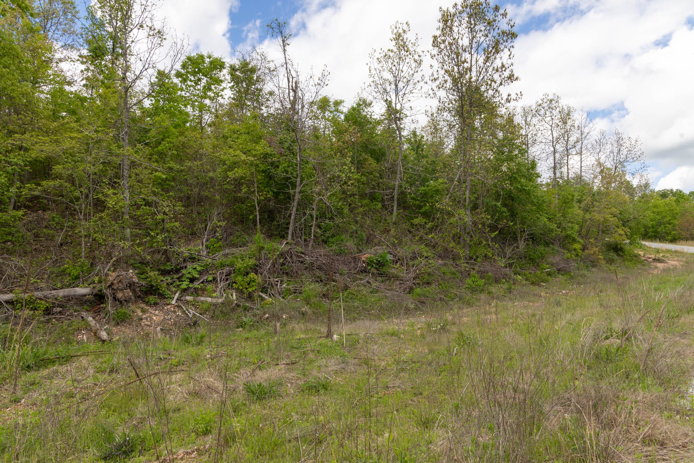 Sleepy Hollow Phase II Tract 95 photo 11