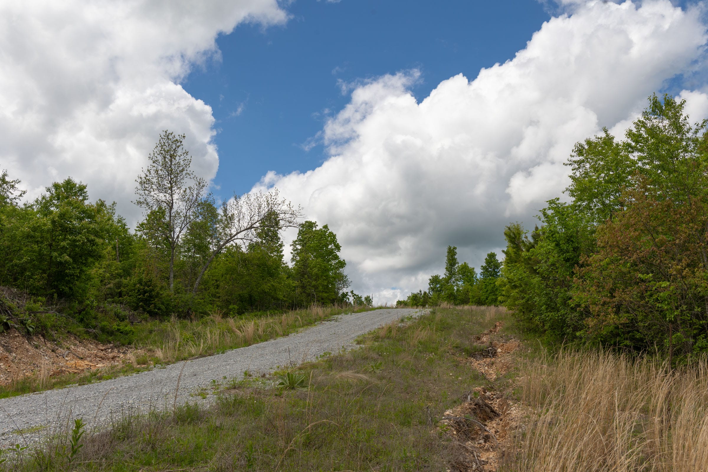 Sleepy Hollow Phase II Tract 95 photo 8