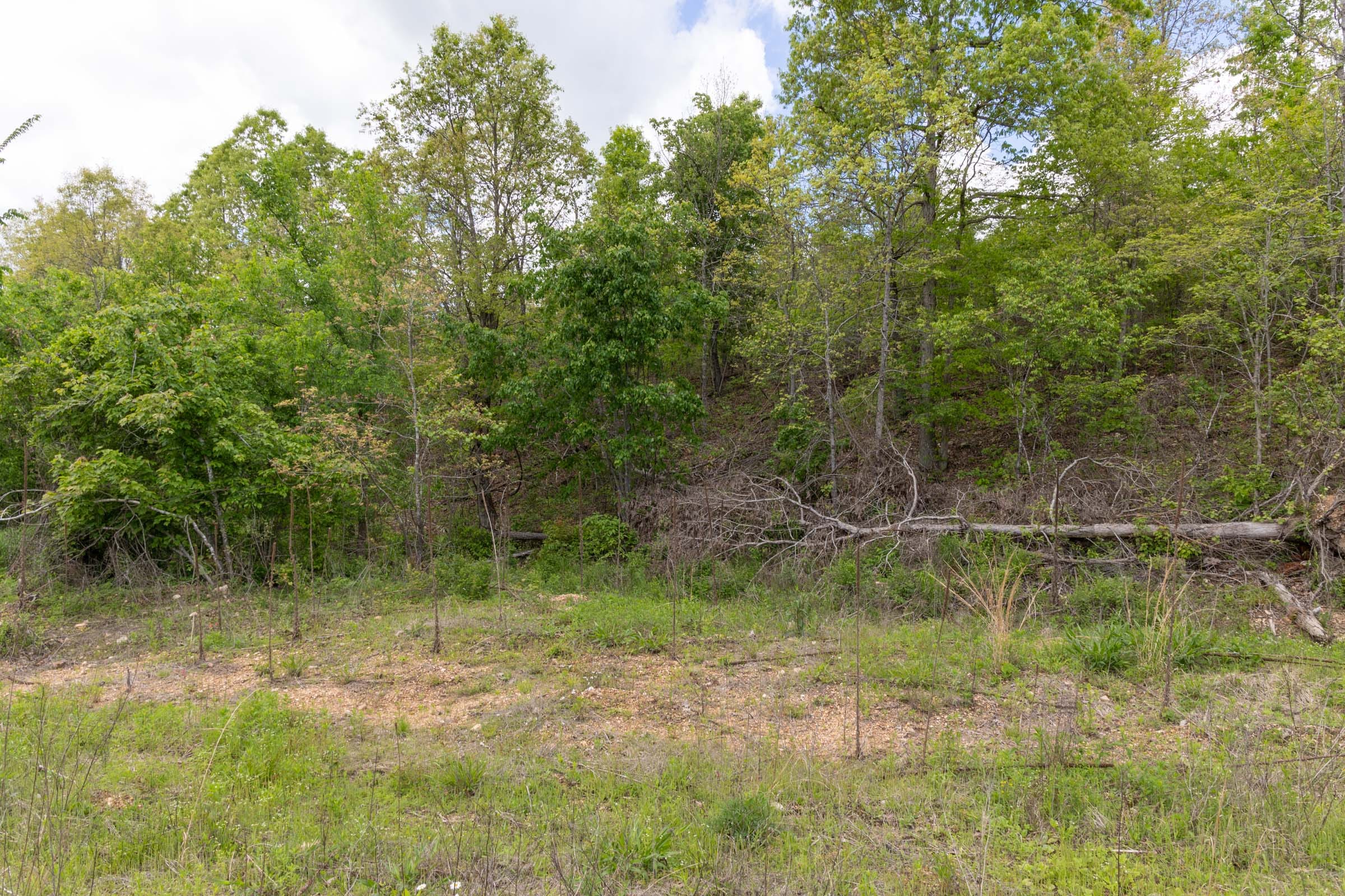Sleepy Hollow Phase II Tract 95 photo 9