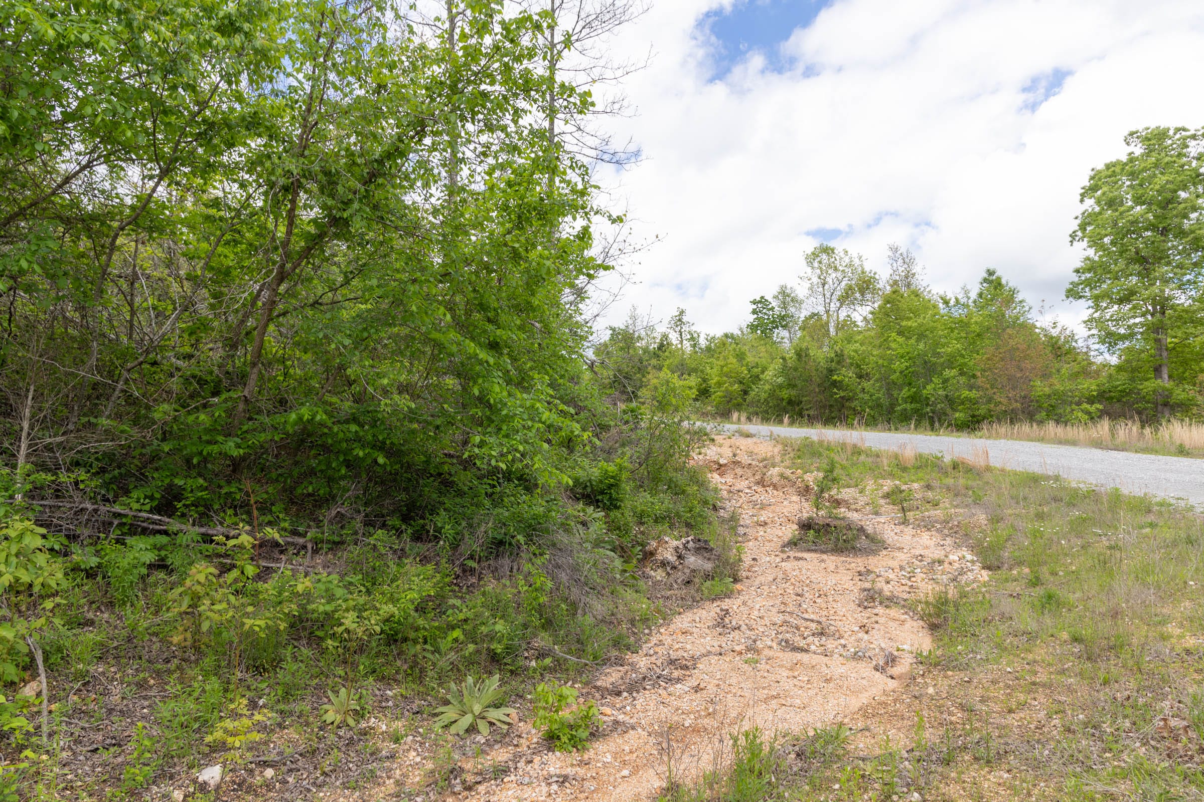 Sleepy Hollow Phase II Tract 95 photo 7