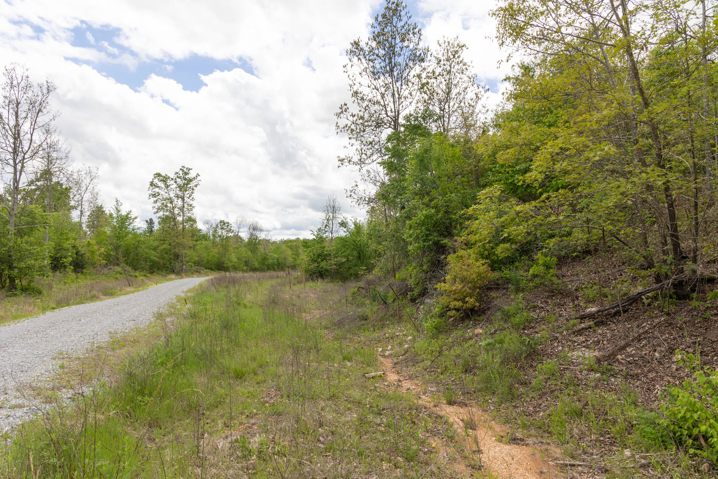 Sleepy Hollow Phase II Tract 95 photo 6