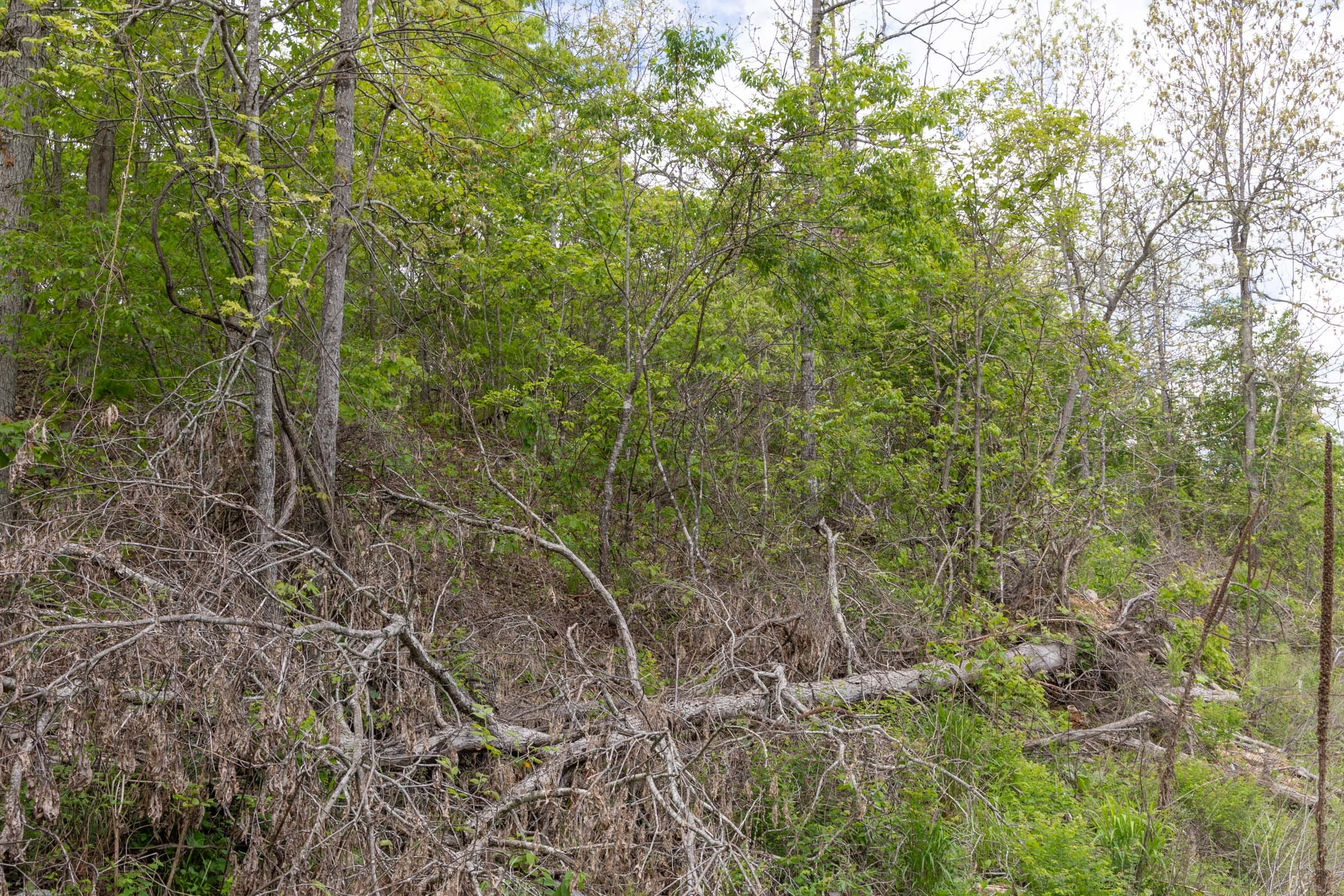 Sleepy Hollow Phase II Tract 95 photo 10