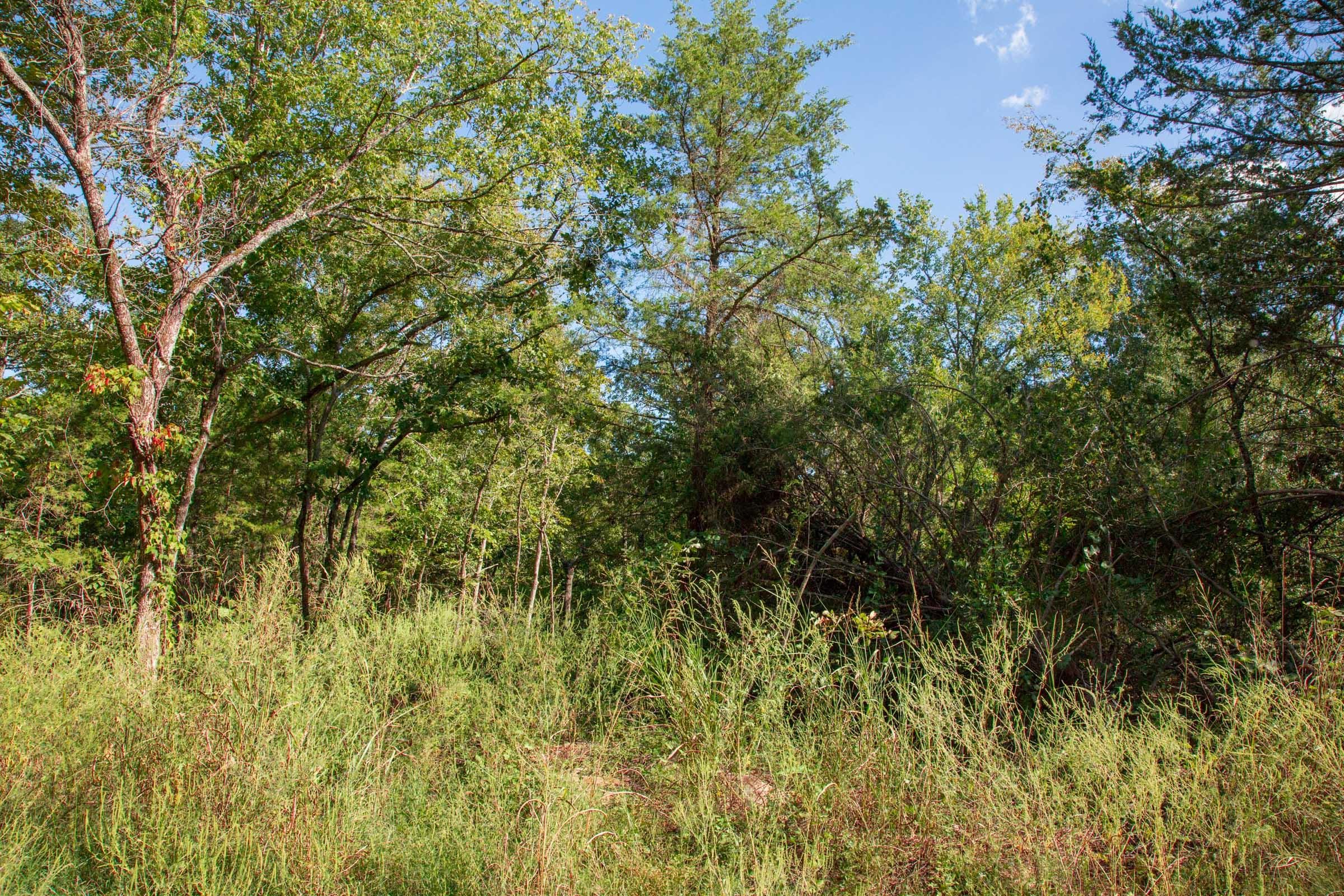 Stone Creek Phase II Tract 268 photo 3