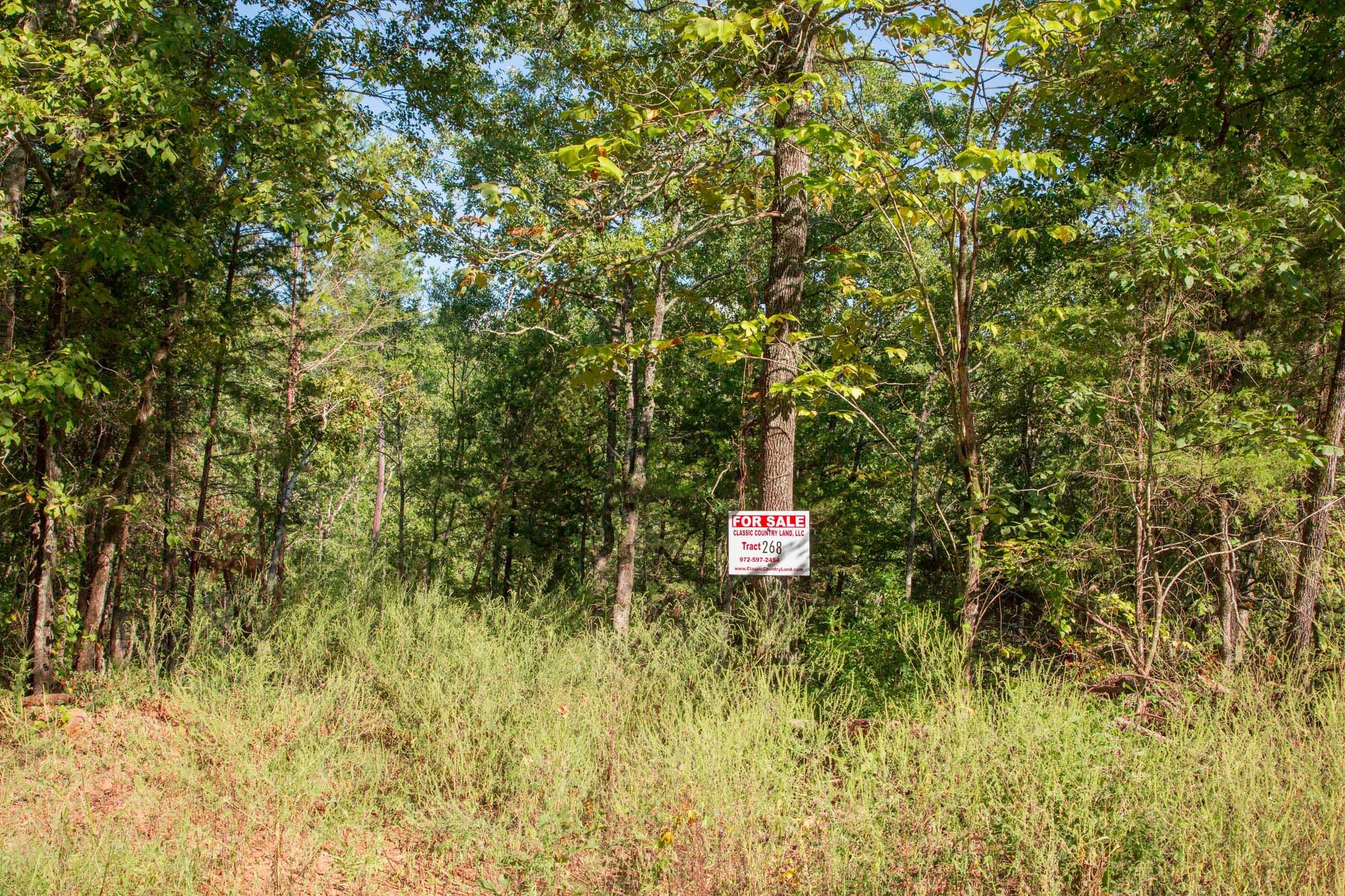 Stone Creek Phase II Tract 268 photo 1